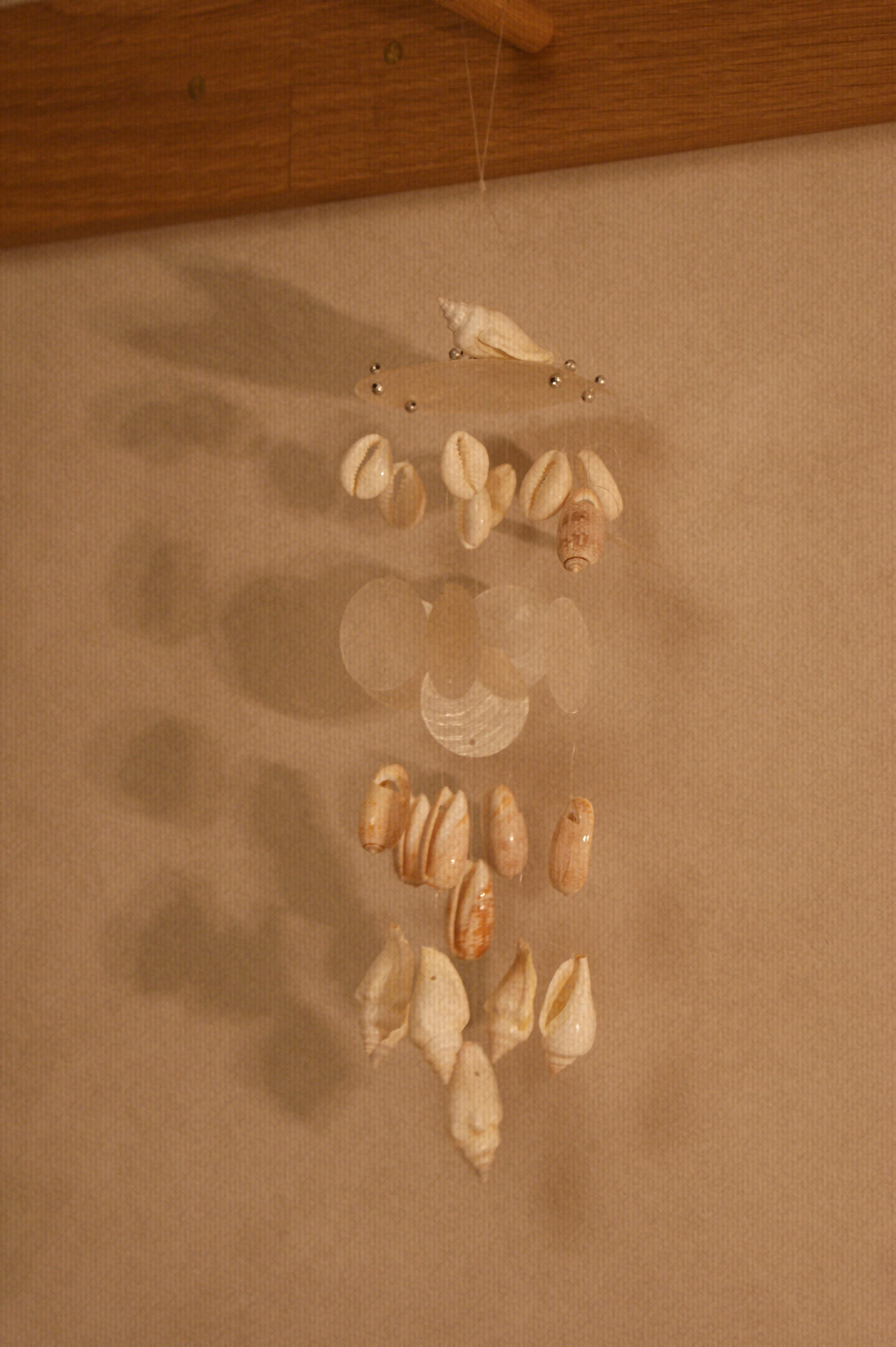 MINI NATURAL SHELL MOBILE