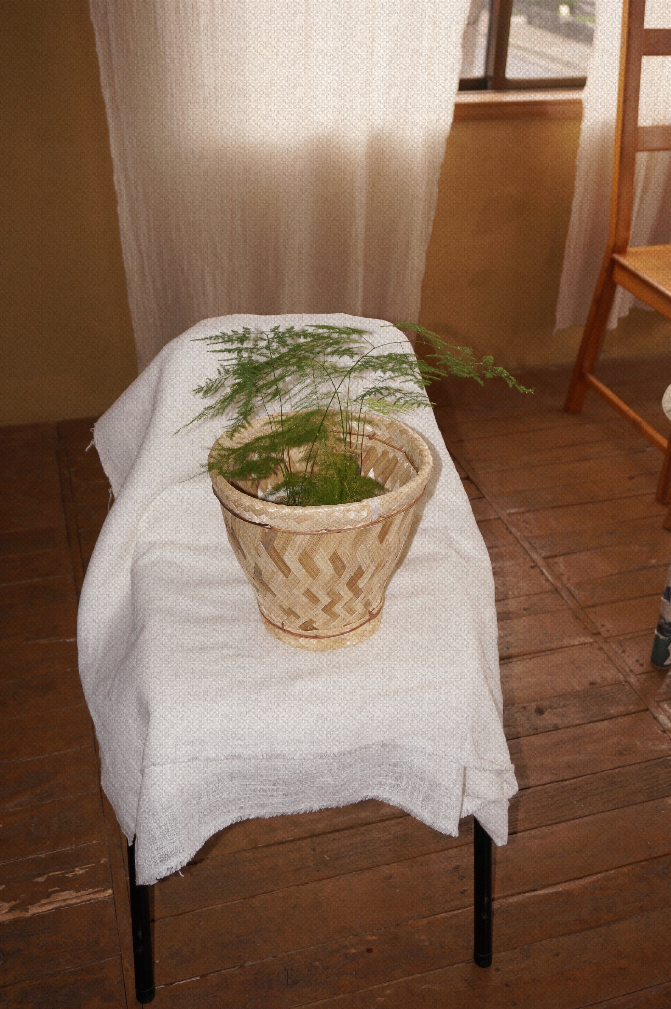 Ratan plant case (화분 커버)