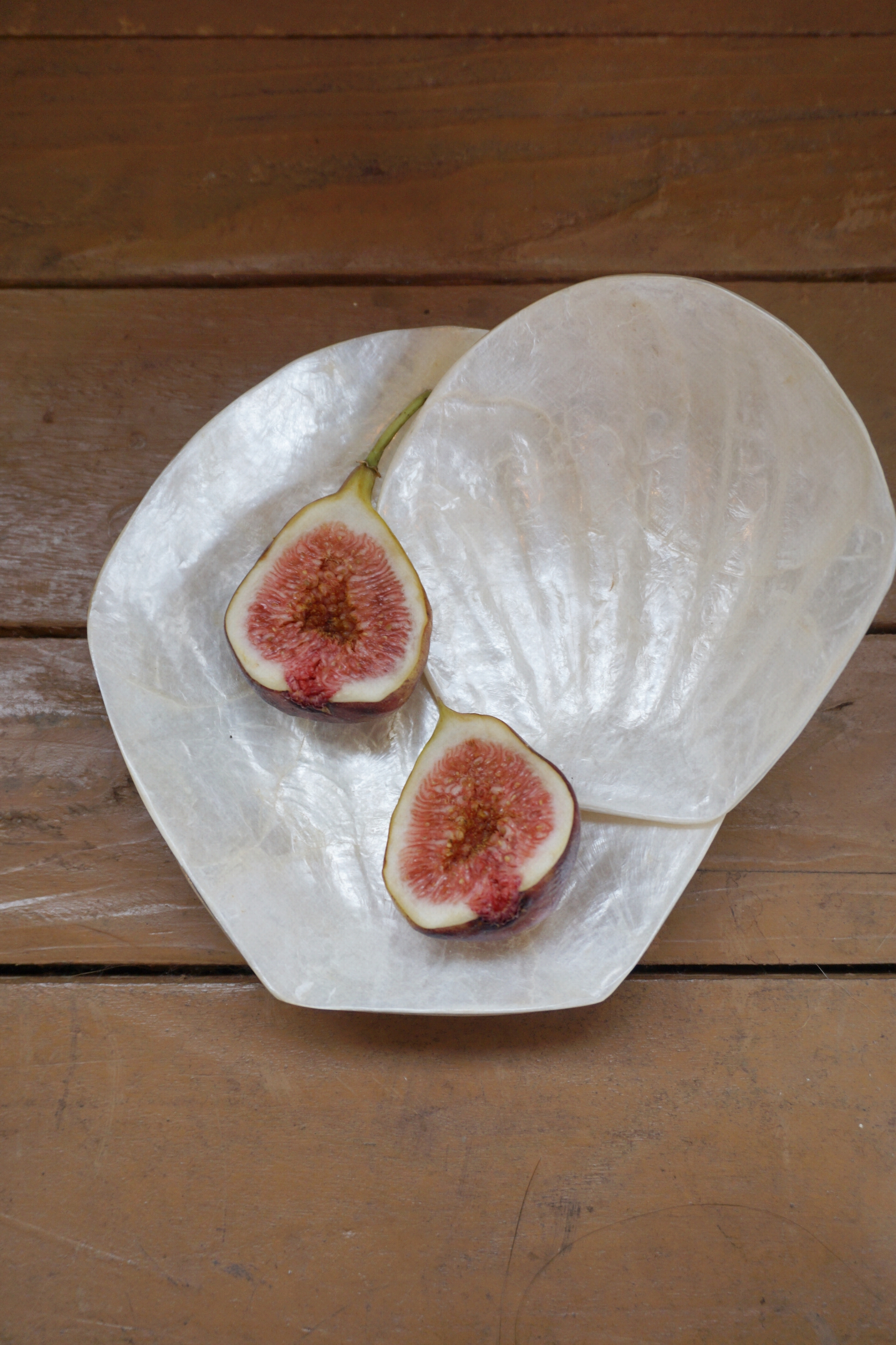 SHELL TRAY - 3 SIZE