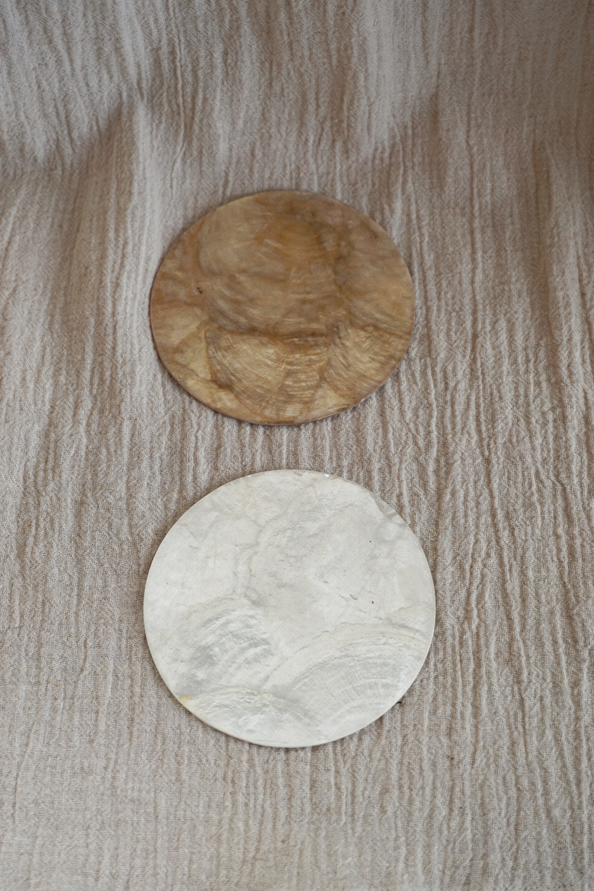BASIC SHELL COASTER & CANDLE HOLDER - 2 COLORS