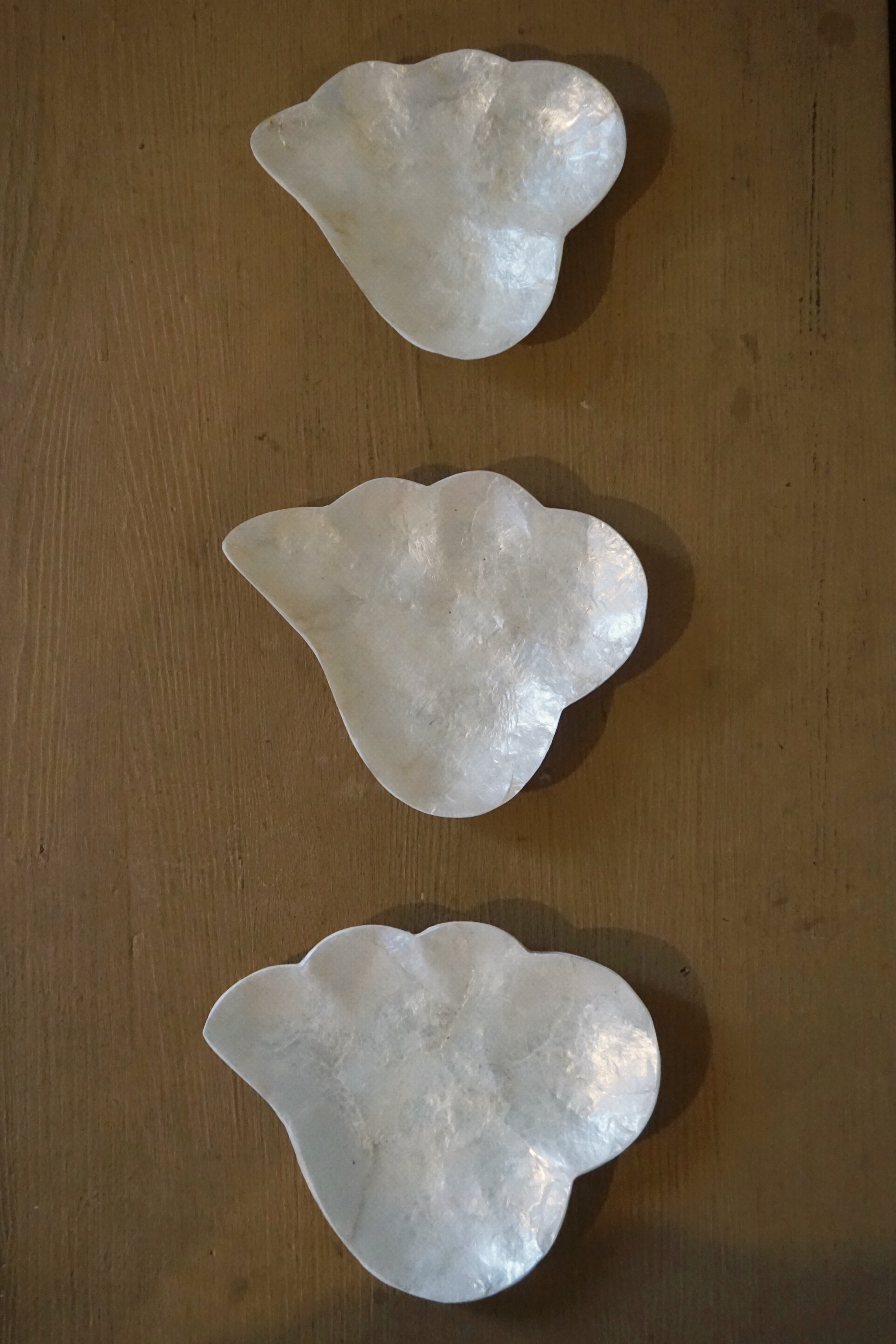 SHELL TRAY - 3 SIZE