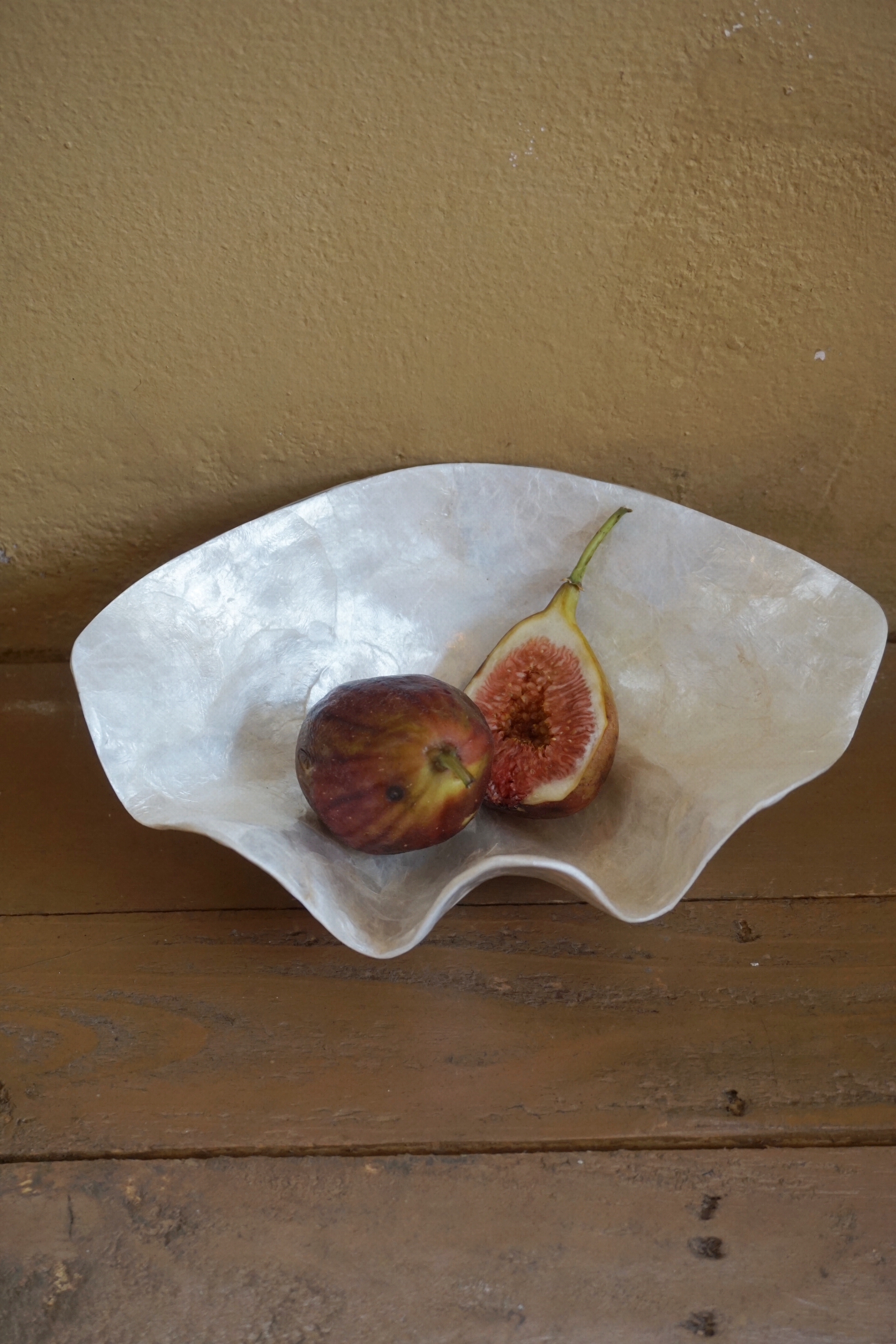 REAL SHELL TRAY - 2 SIZE