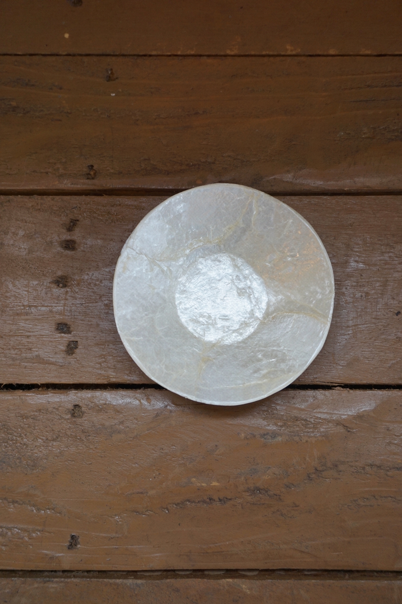 CIRCLE SHELL TRAY