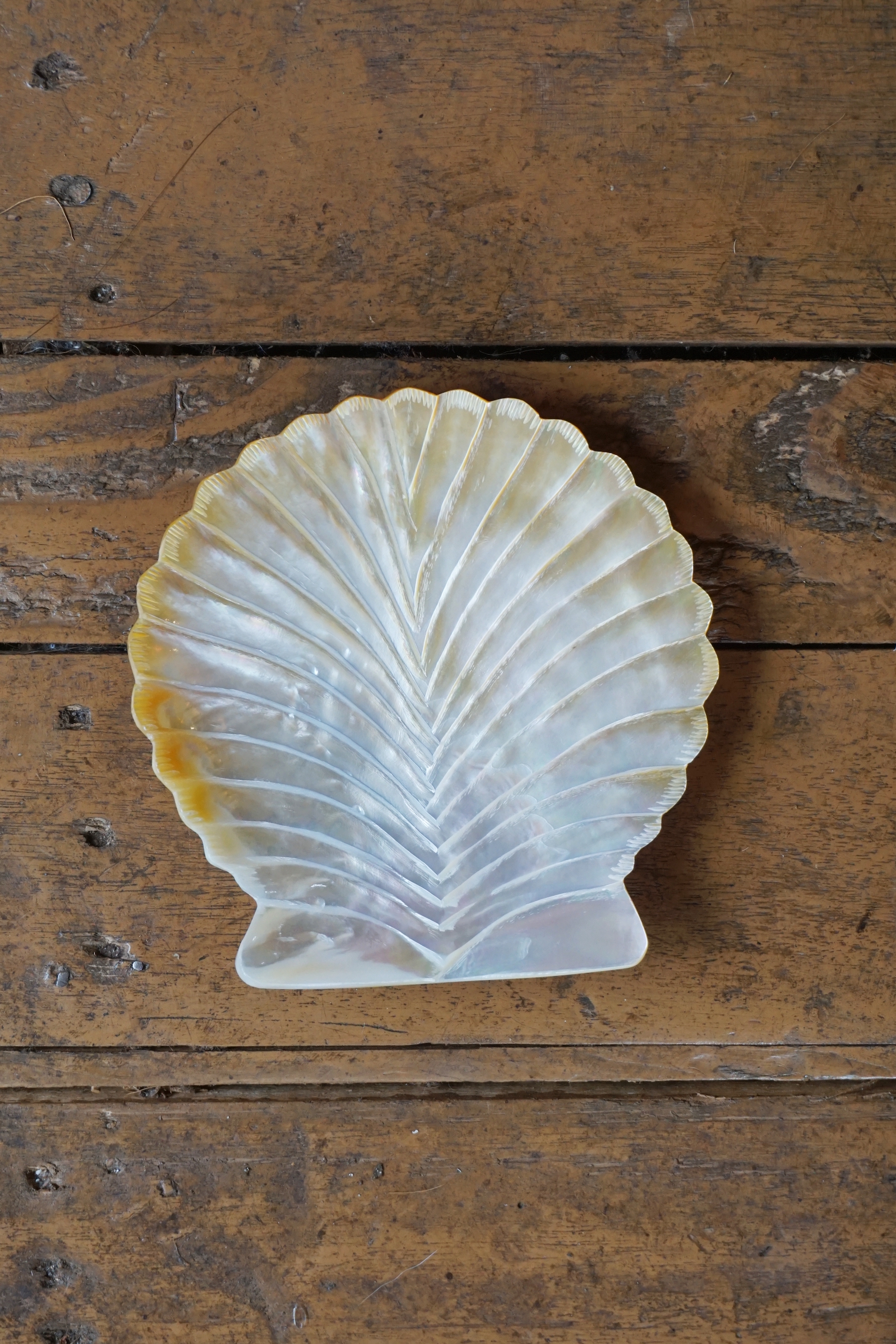 OLD SHELL TRAY - MADE IN CHIANG MAI