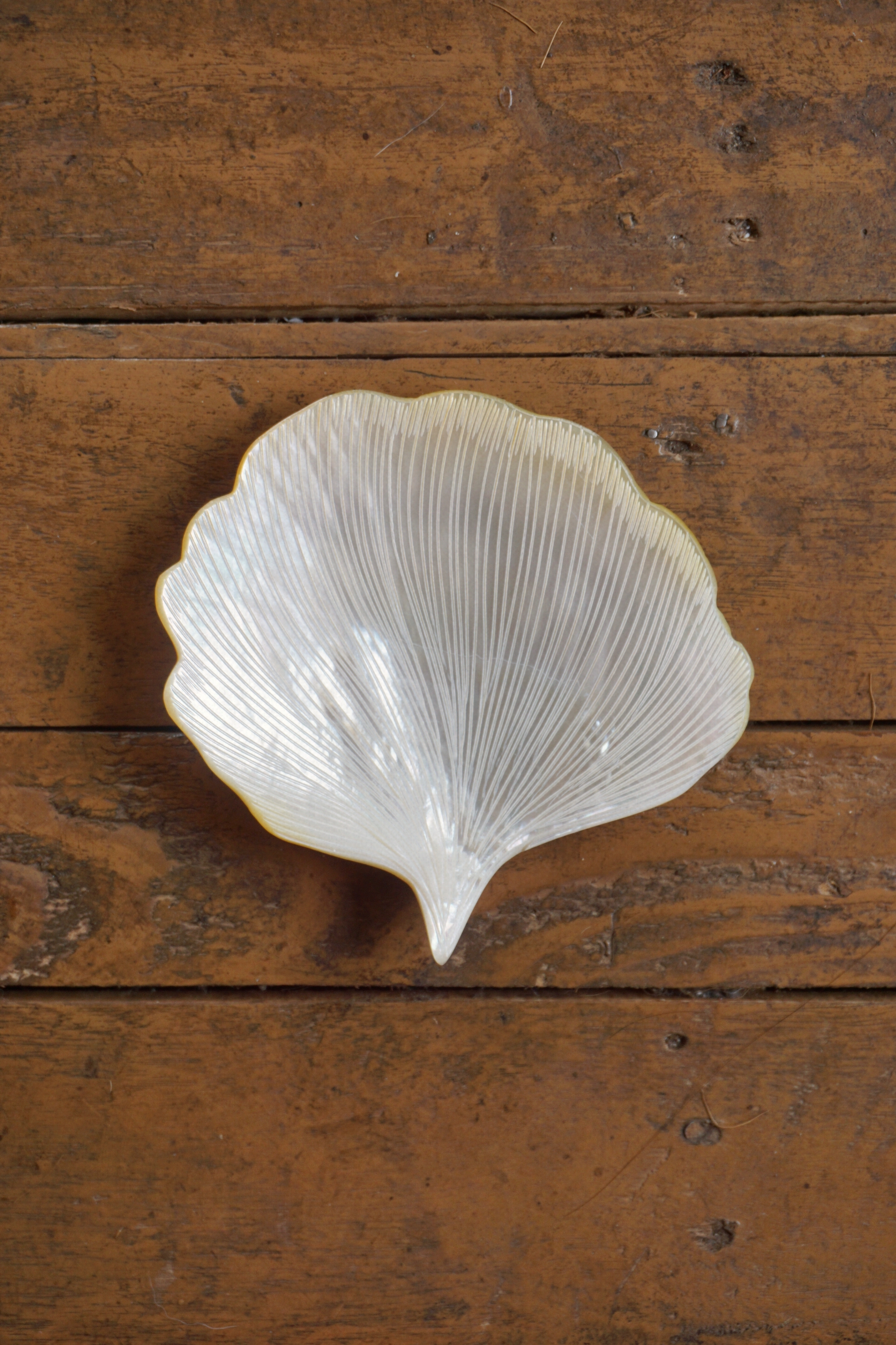 OLD SHELL TRAY - MADE IN CHIANG MAI