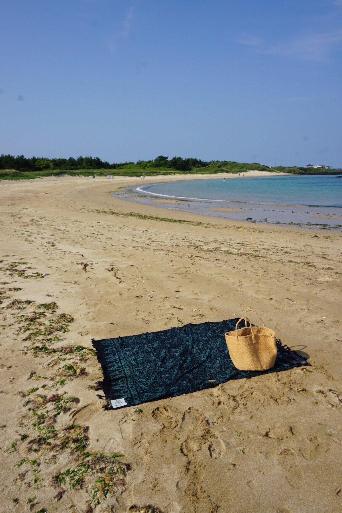 (6차 RE-ORDER)MOOD SARONG - BLACK LIZARD