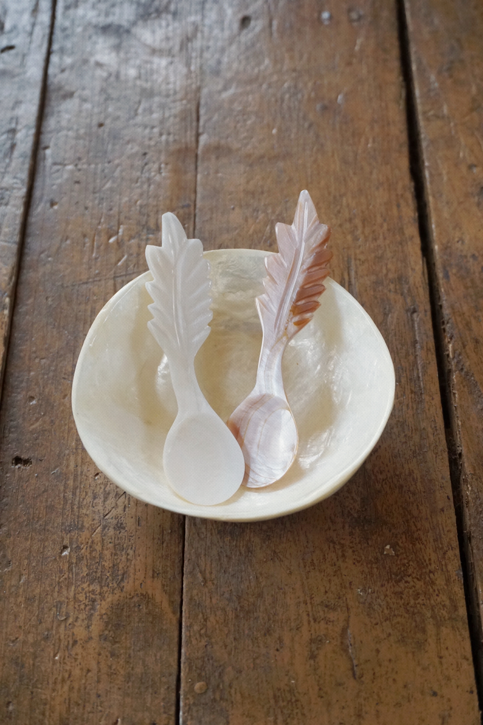 SHELL SPOON - 2 COLORS