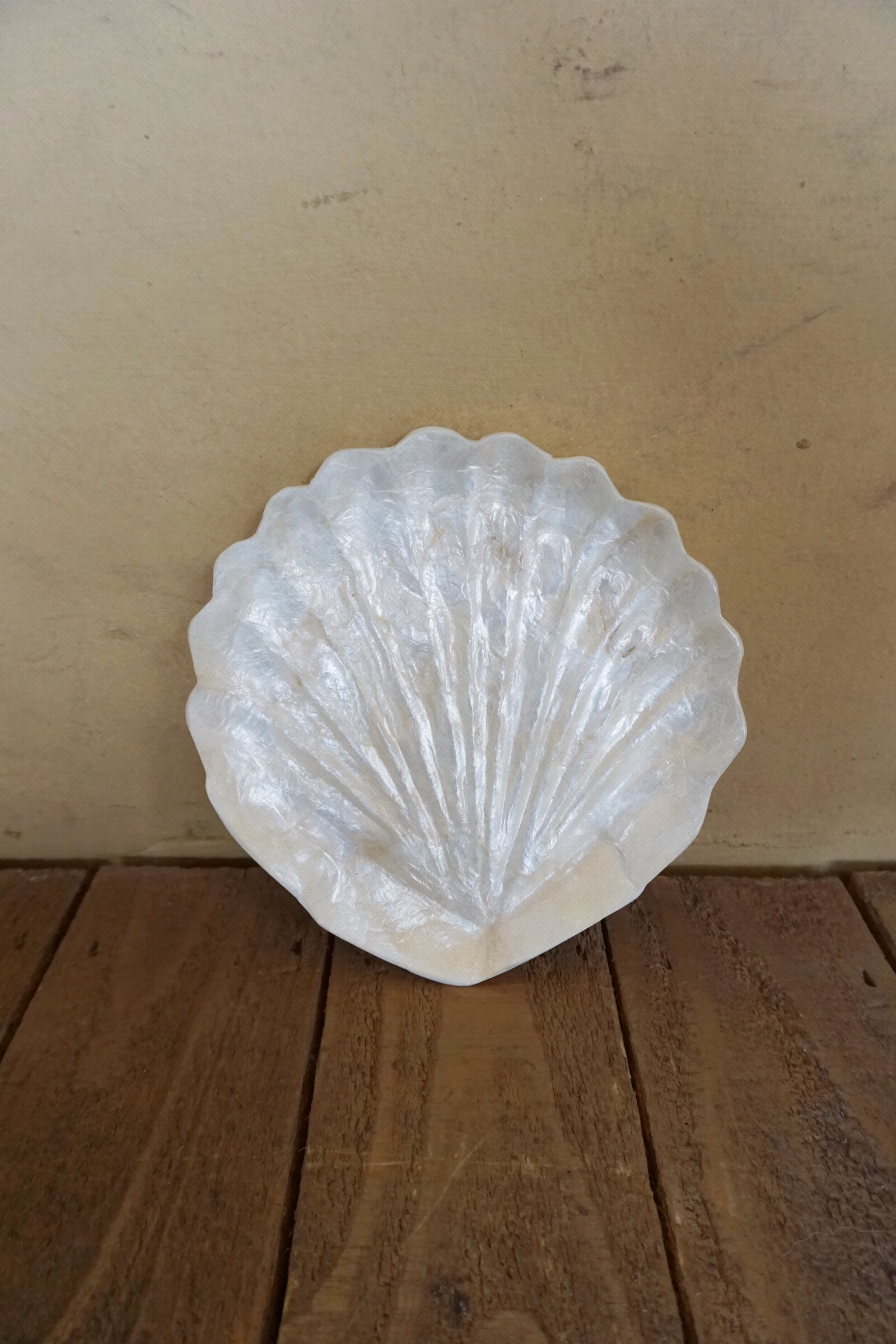 SHELL TRAY-NO.73