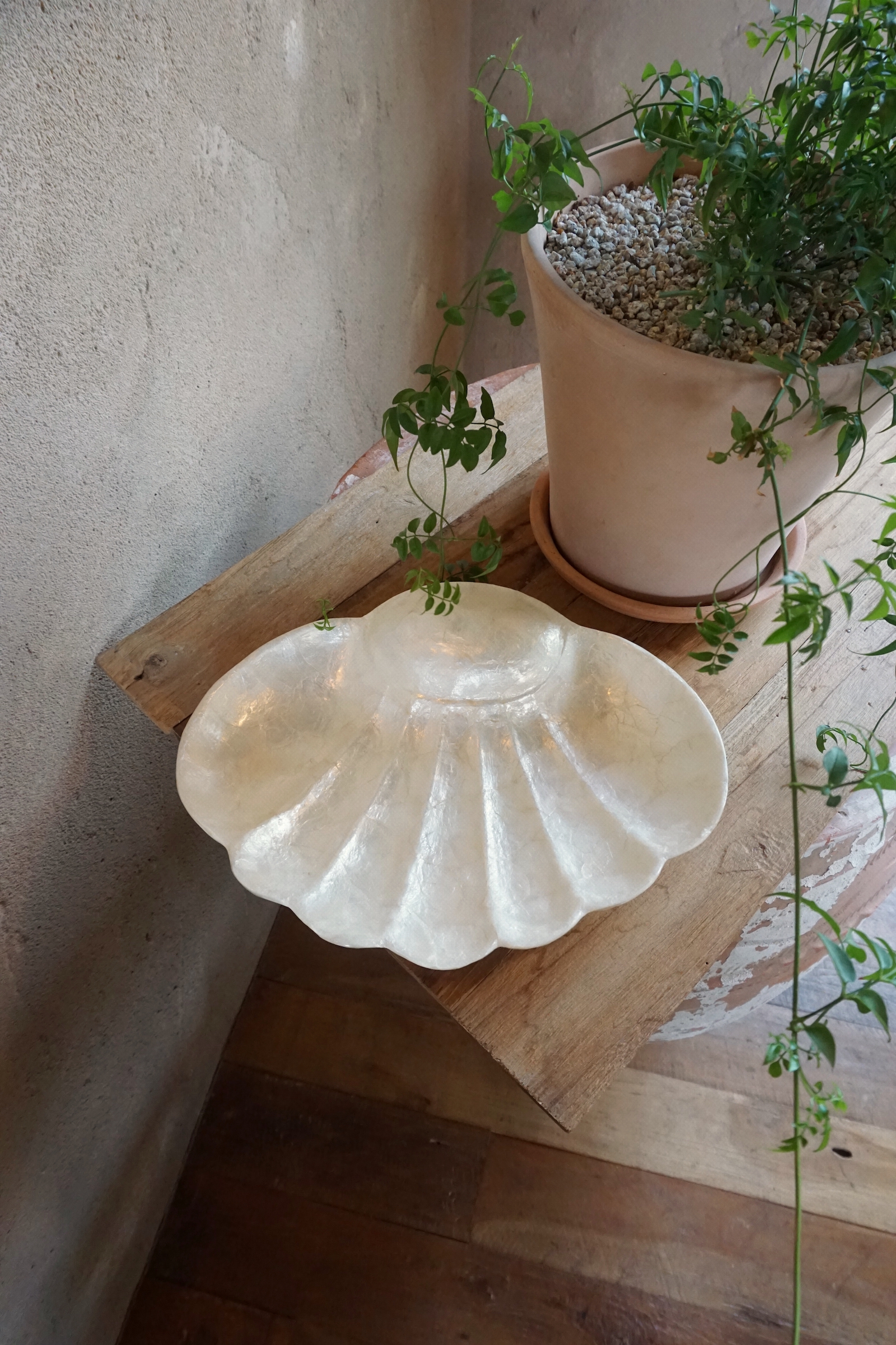 SHELL TRAY-NO.21