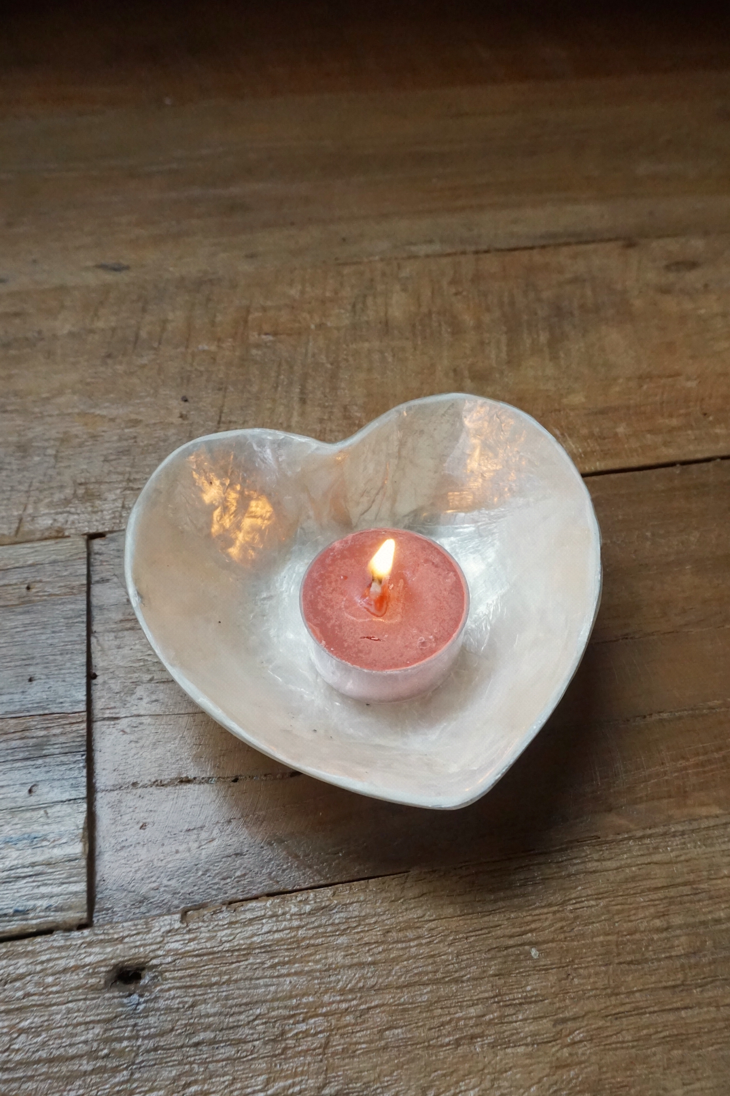 SHELL TRAY - 2 SIZE