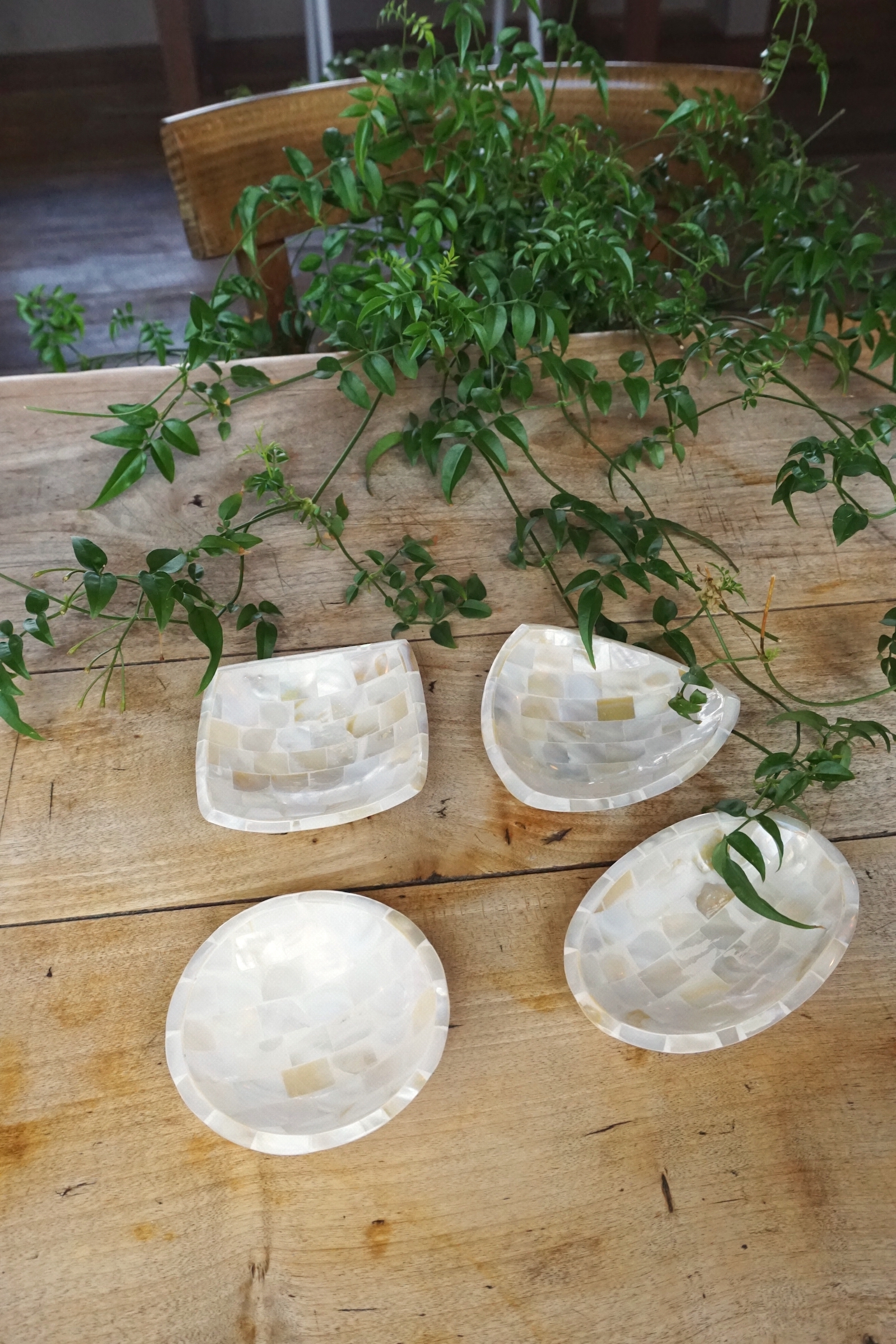 TIKSI MINI SHELL TRAY - 4 TYPE