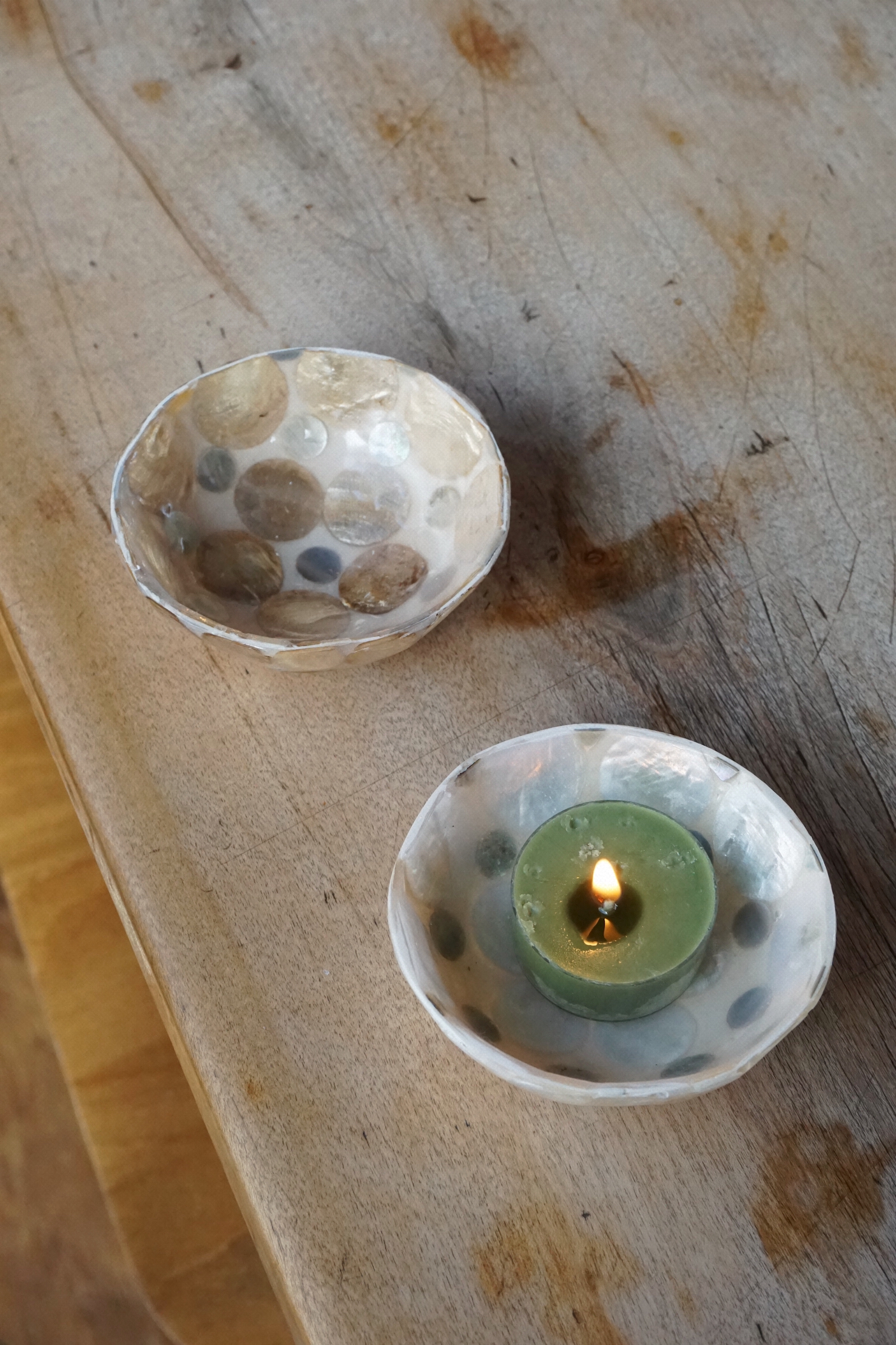 SHELL COIN TRAY - 2 COLORS