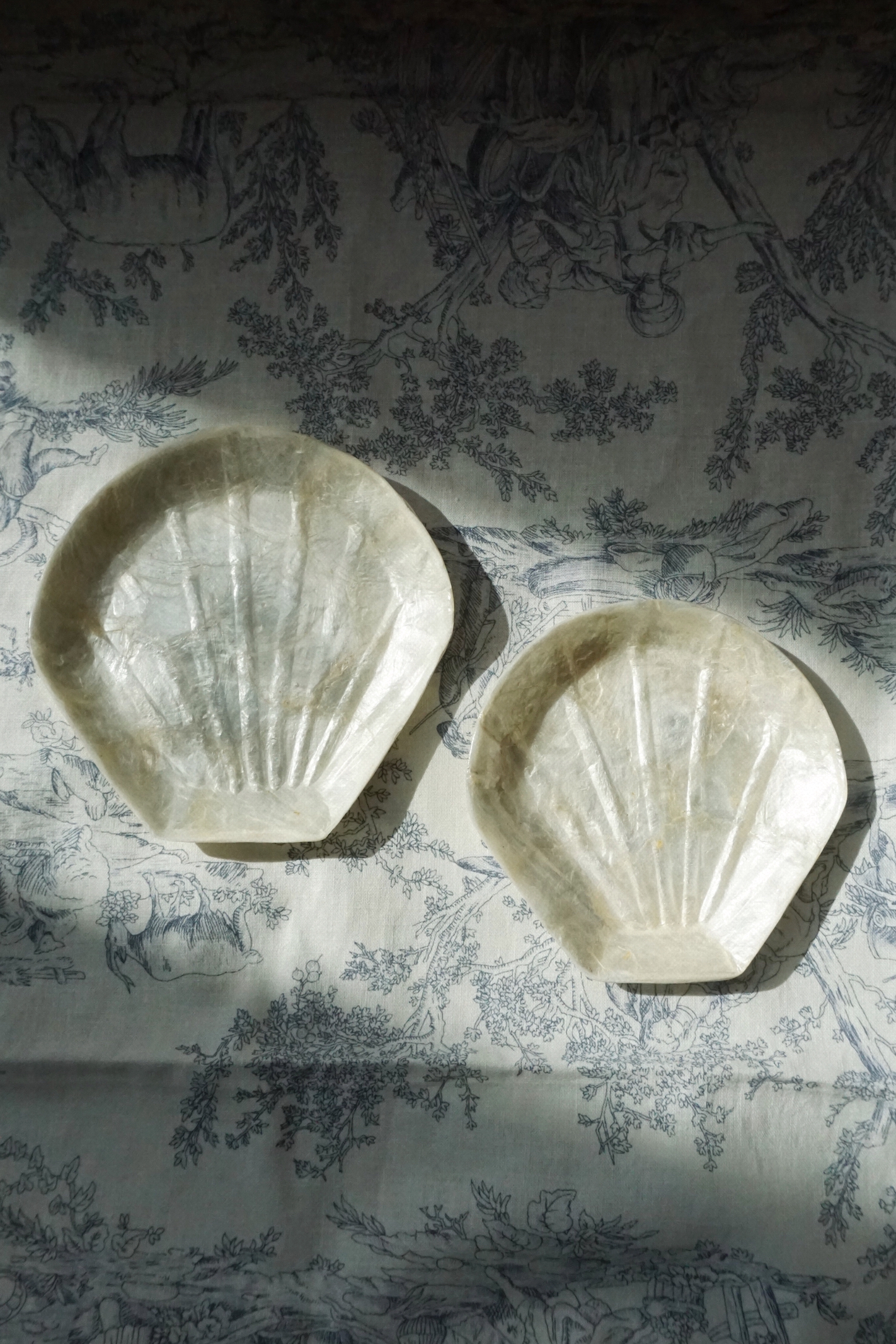 SHELL TRAY - 3 SIZE