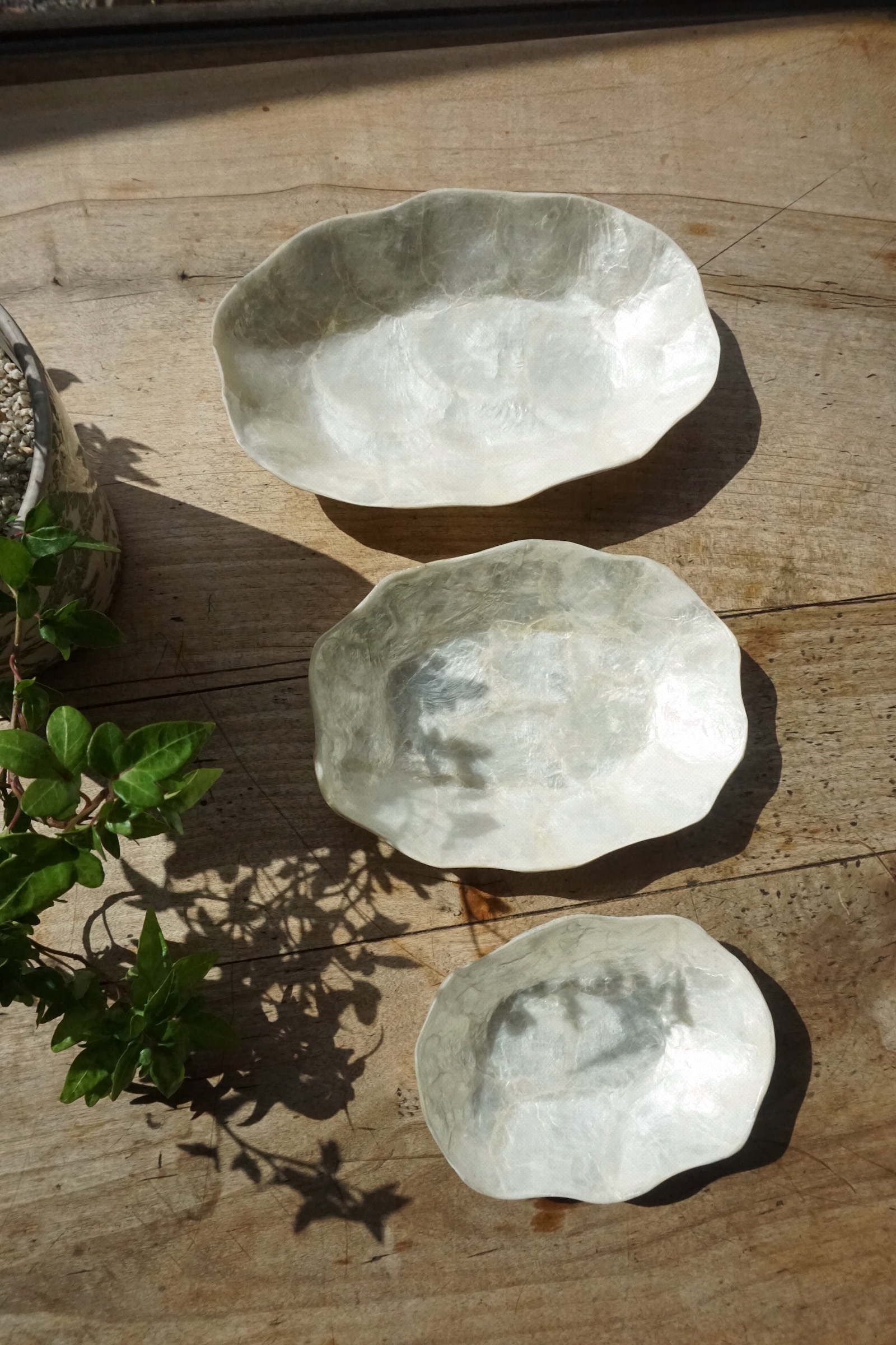 CLOUD SHELL TRAY - 3 SIZE