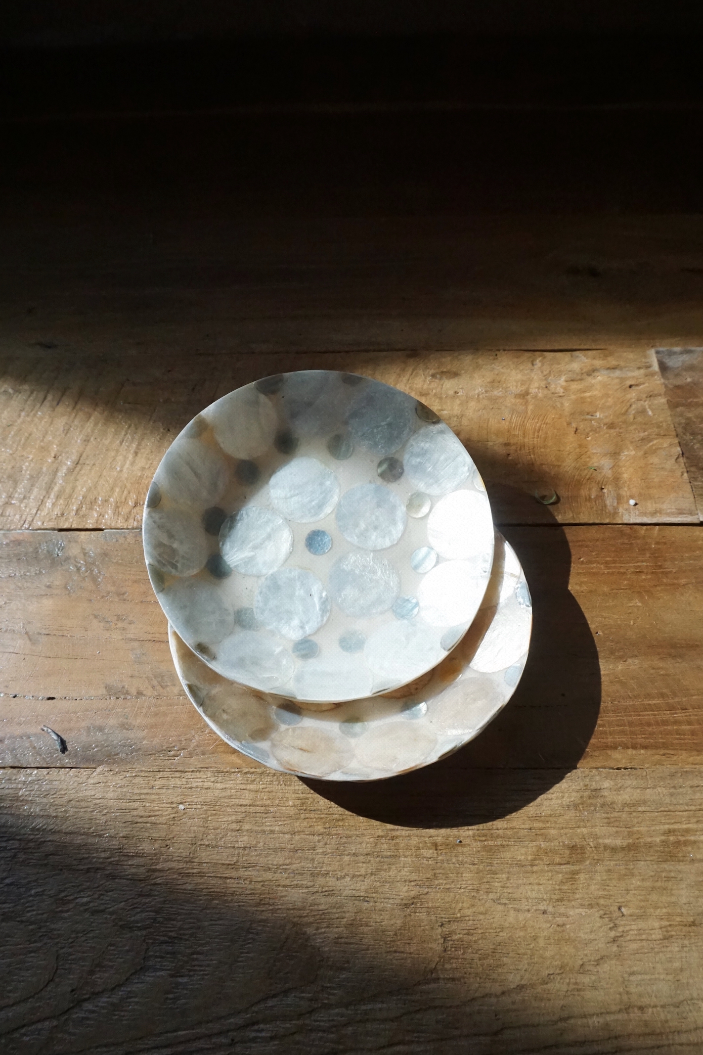 SHELL COIN TRAY - 2 COLORS