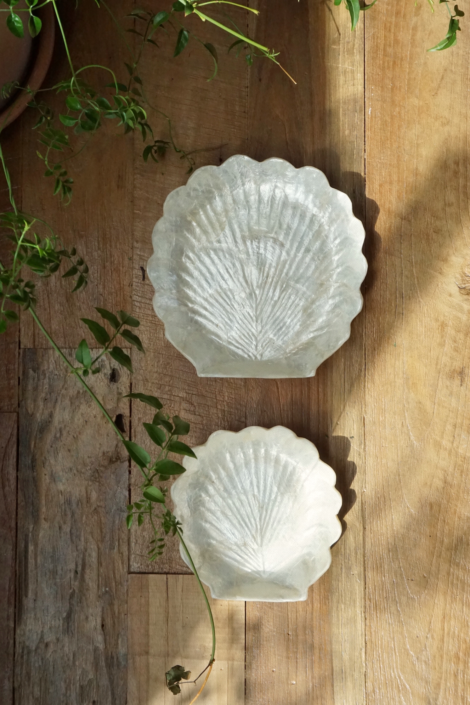SHELL TRAY - 2 SIZE