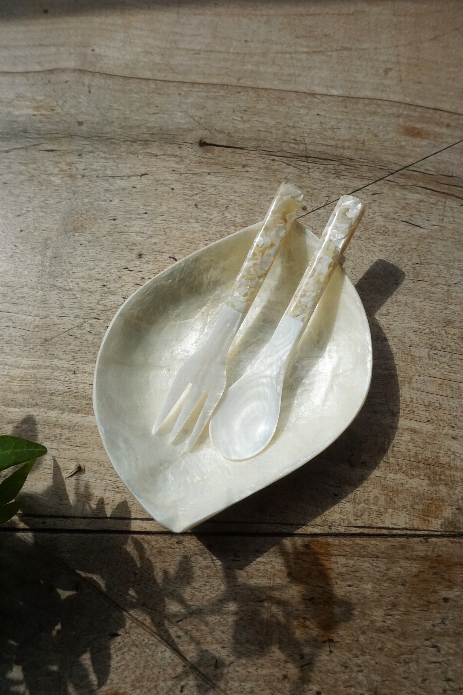 SHELL TRAY-NO.54