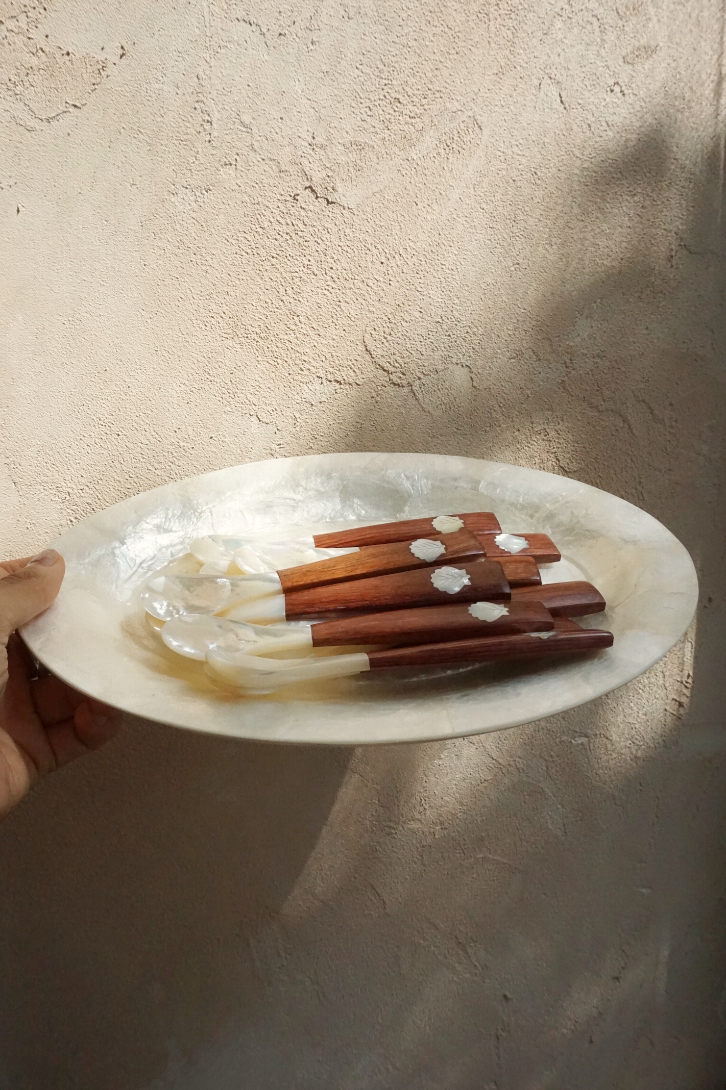 SHELL SPOON