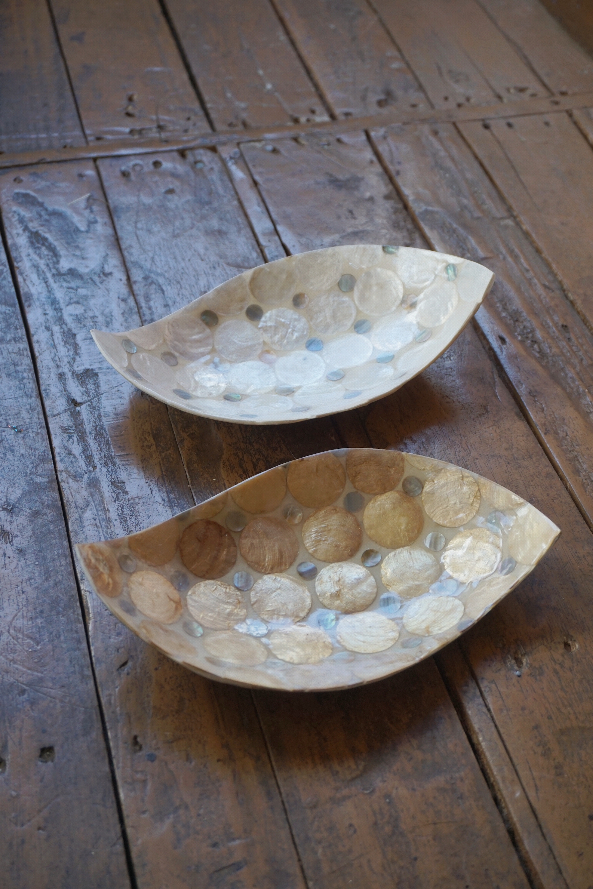 SHELL COIN TRAY (2 COLOR)