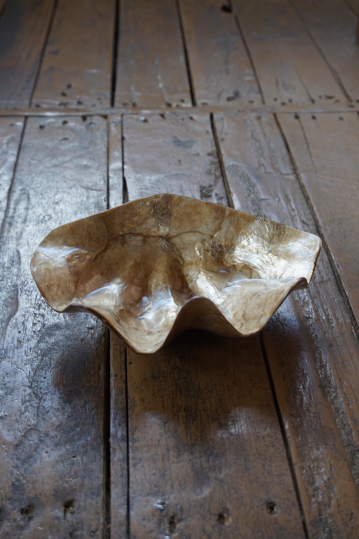 SHELL TRAY -NO.19
