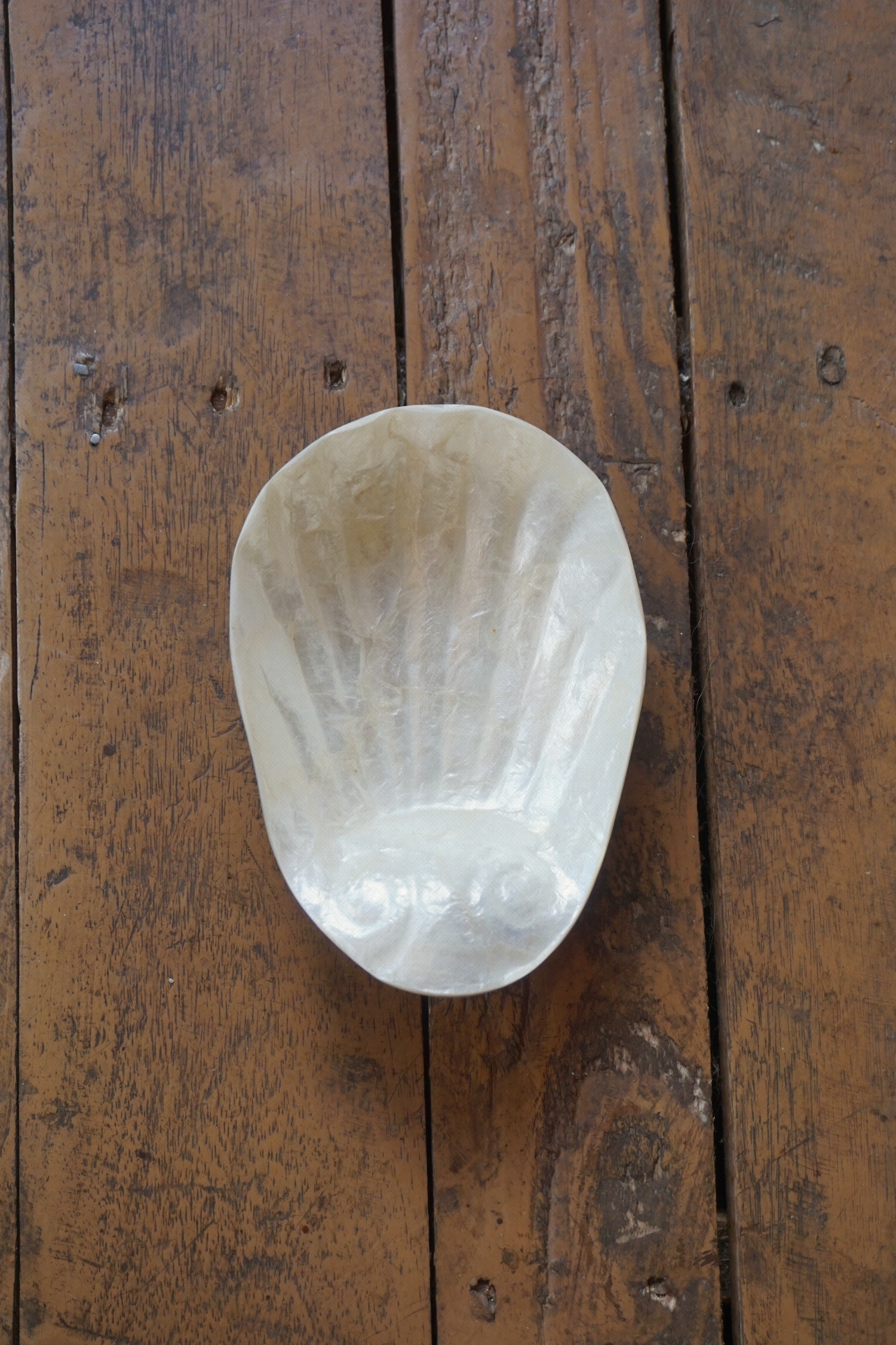 SHELL TRAY-NO.3
