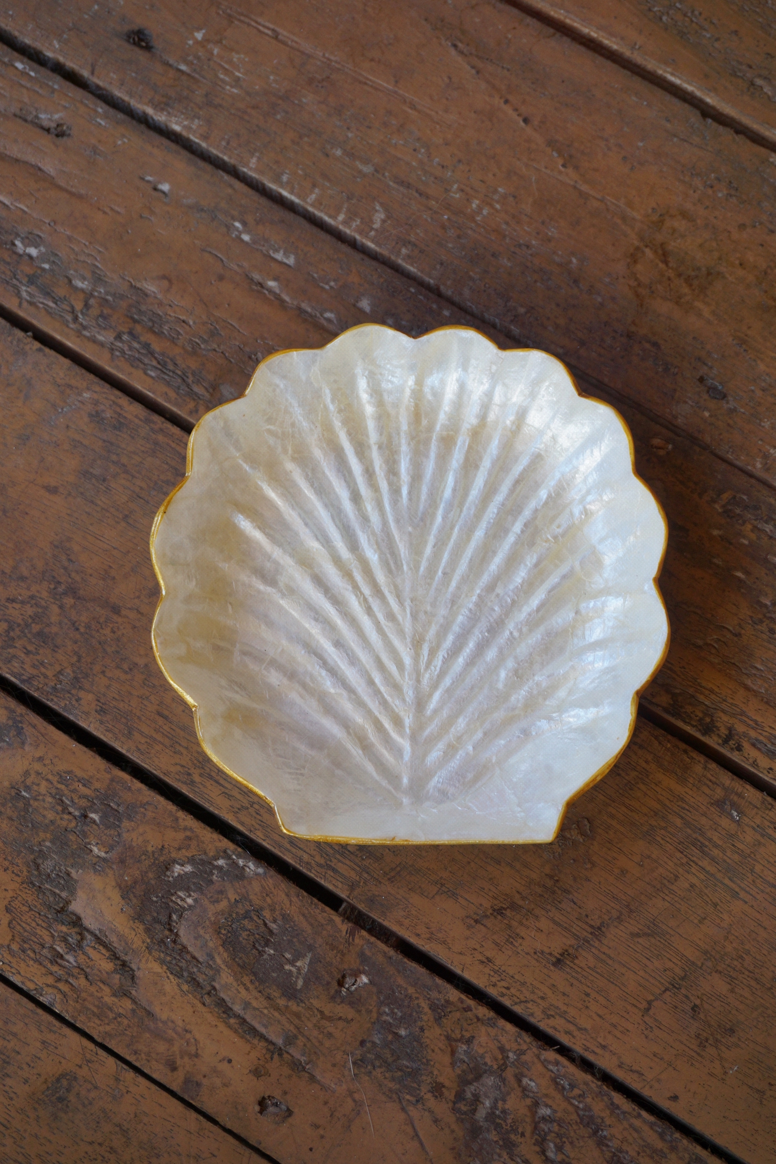 GOLD PEN SHELL TRAY