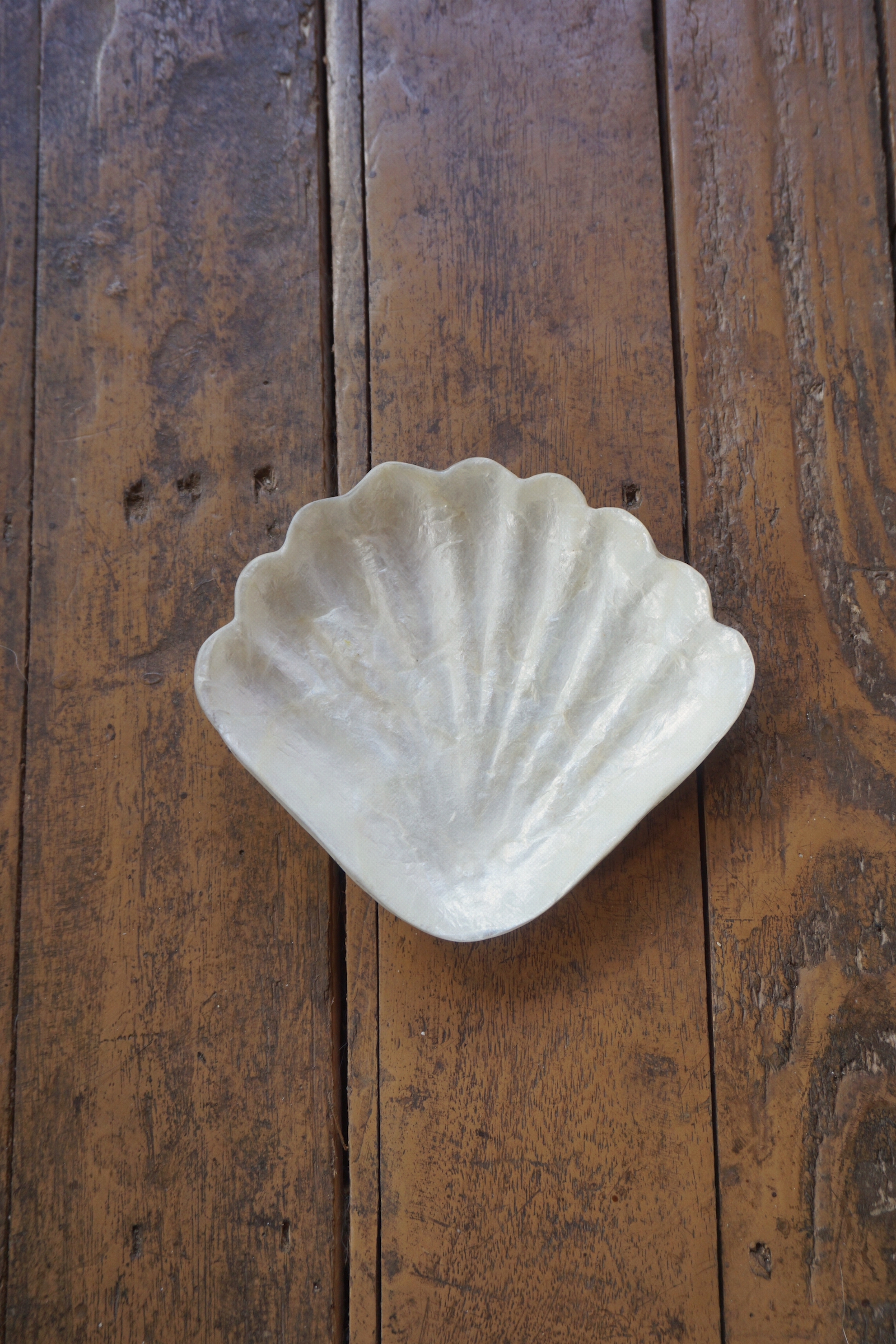 SHELL TRAY-NO.69
