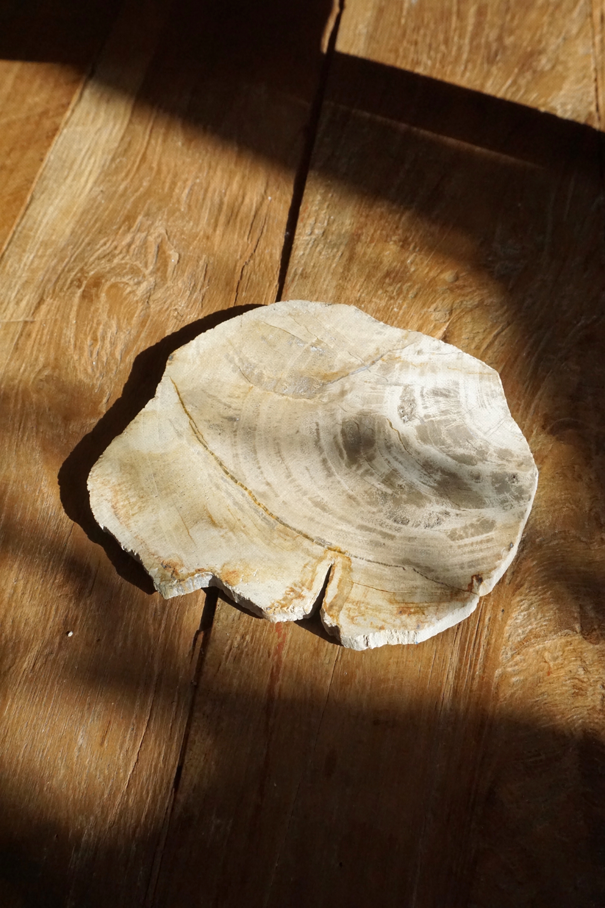 SILICA STONE TRAY