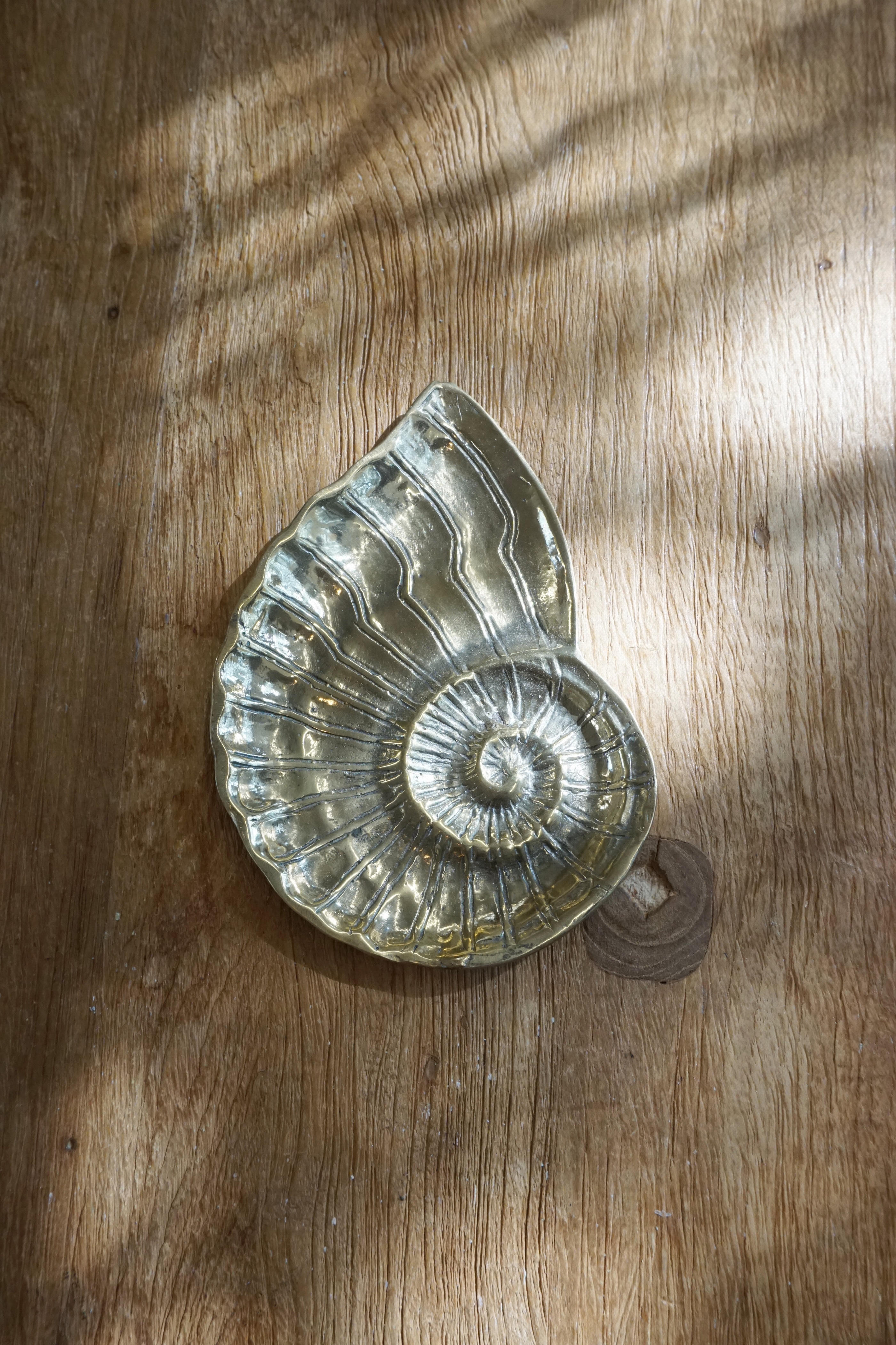 BRASS TRAY-AMMONITE