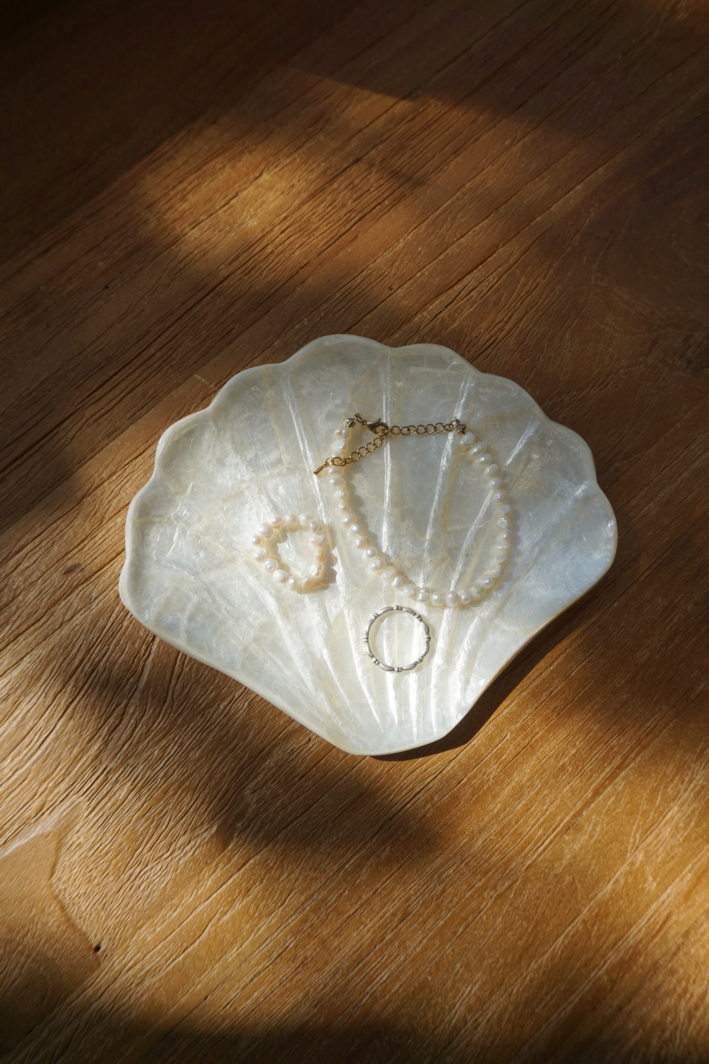 FAN SHELL TRAY
