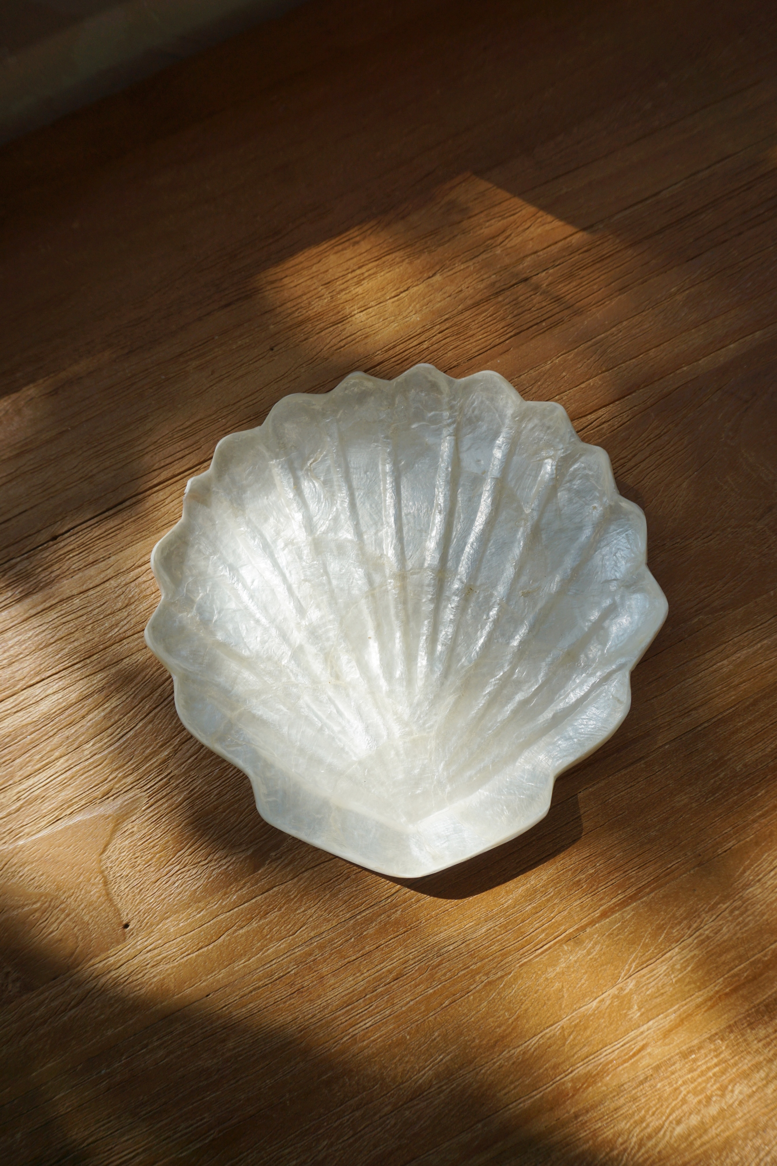 SHELL TRAY-NO.73