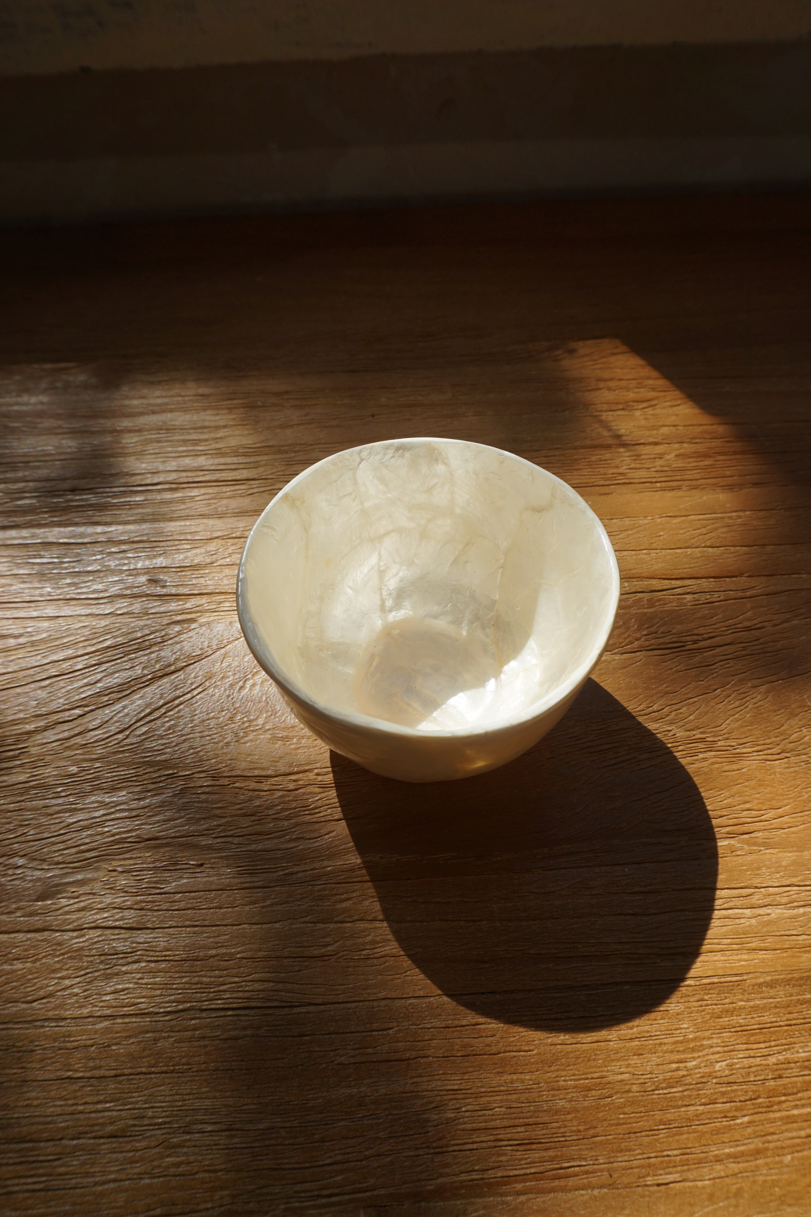 SHELL TRAY-NO.46
