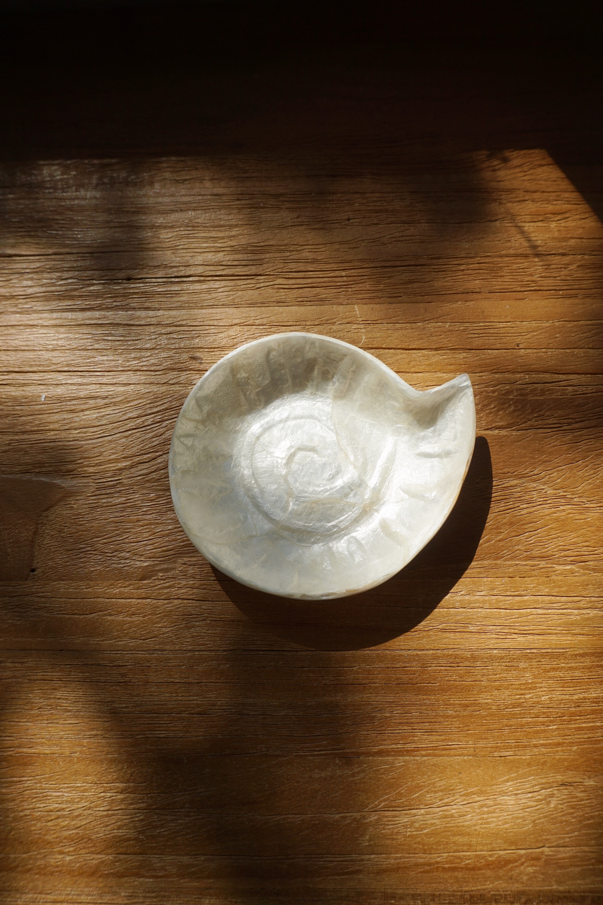 SHELL TRAY-NO.35
