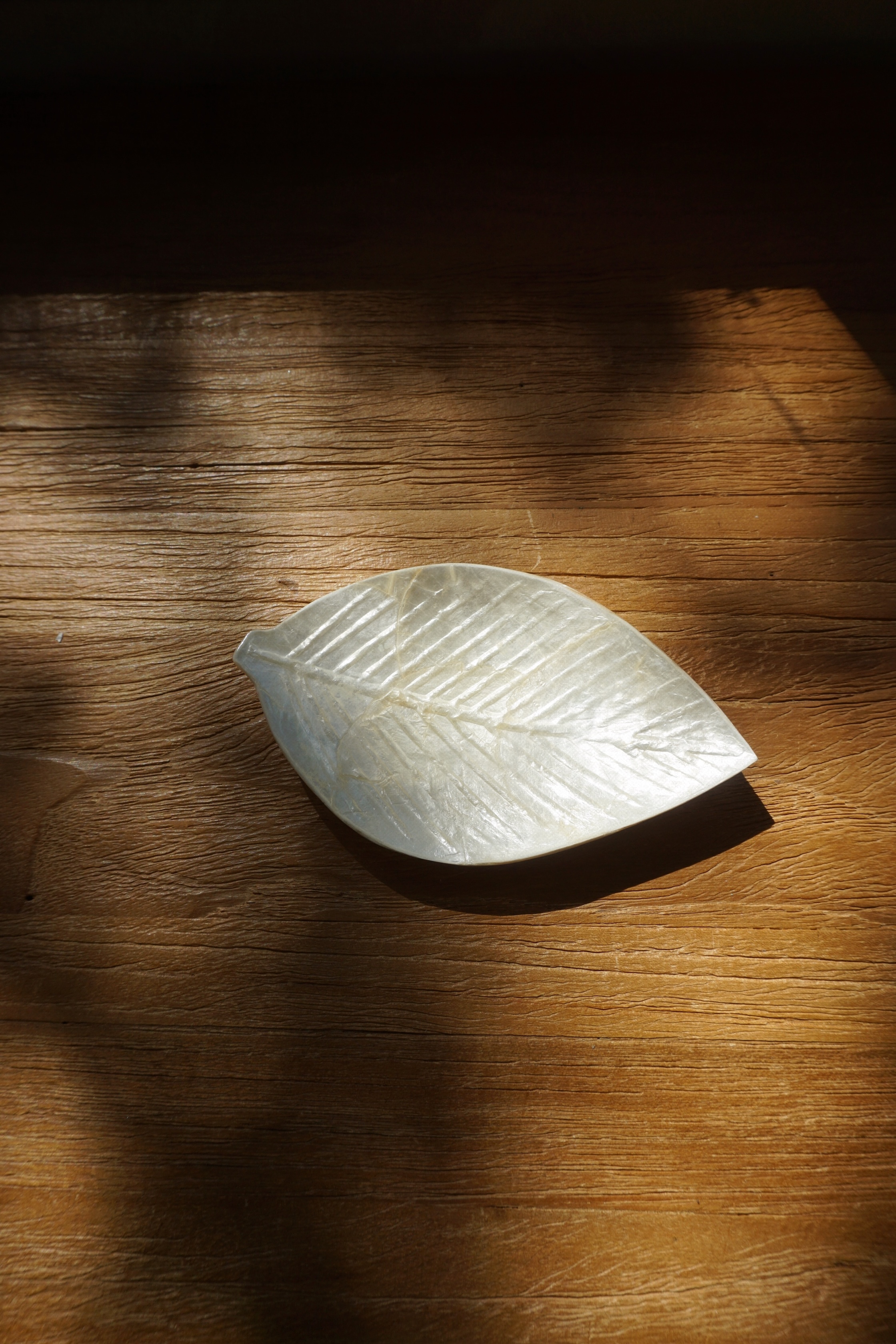 SHELL TRAY-NO.26
