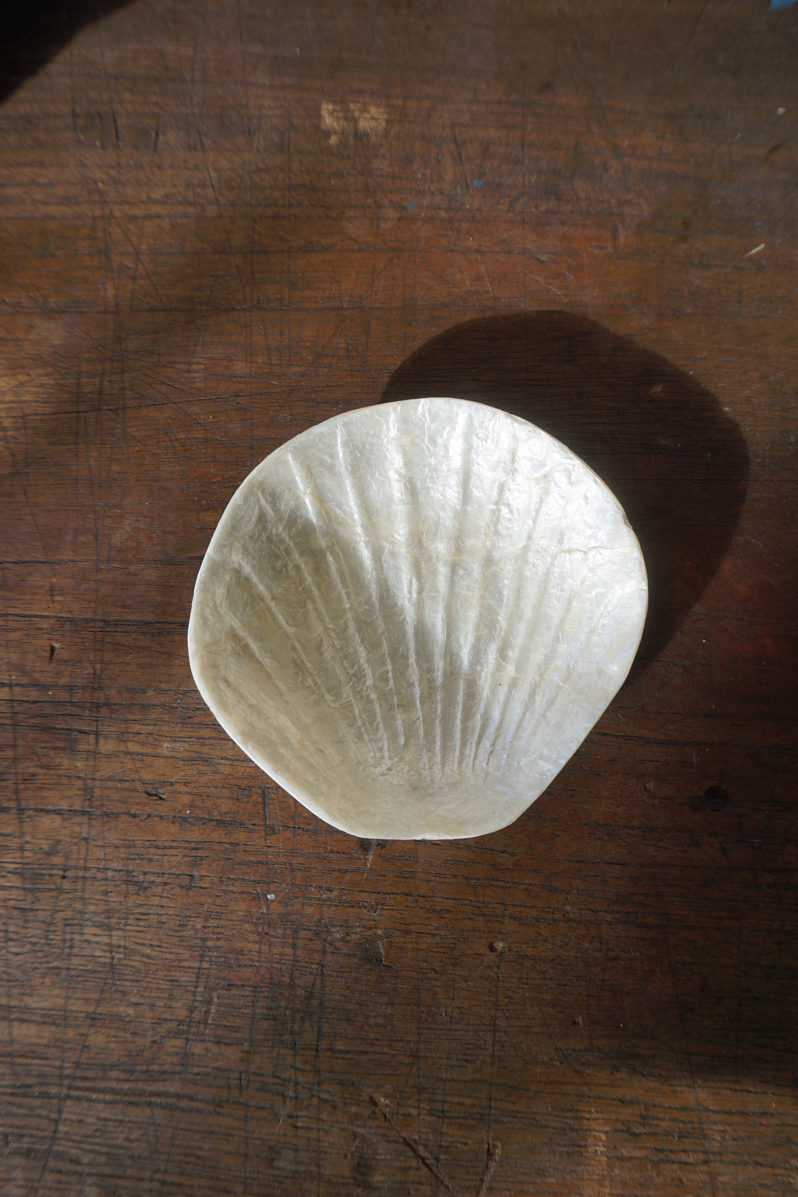 SHELL TRAY-NO.7