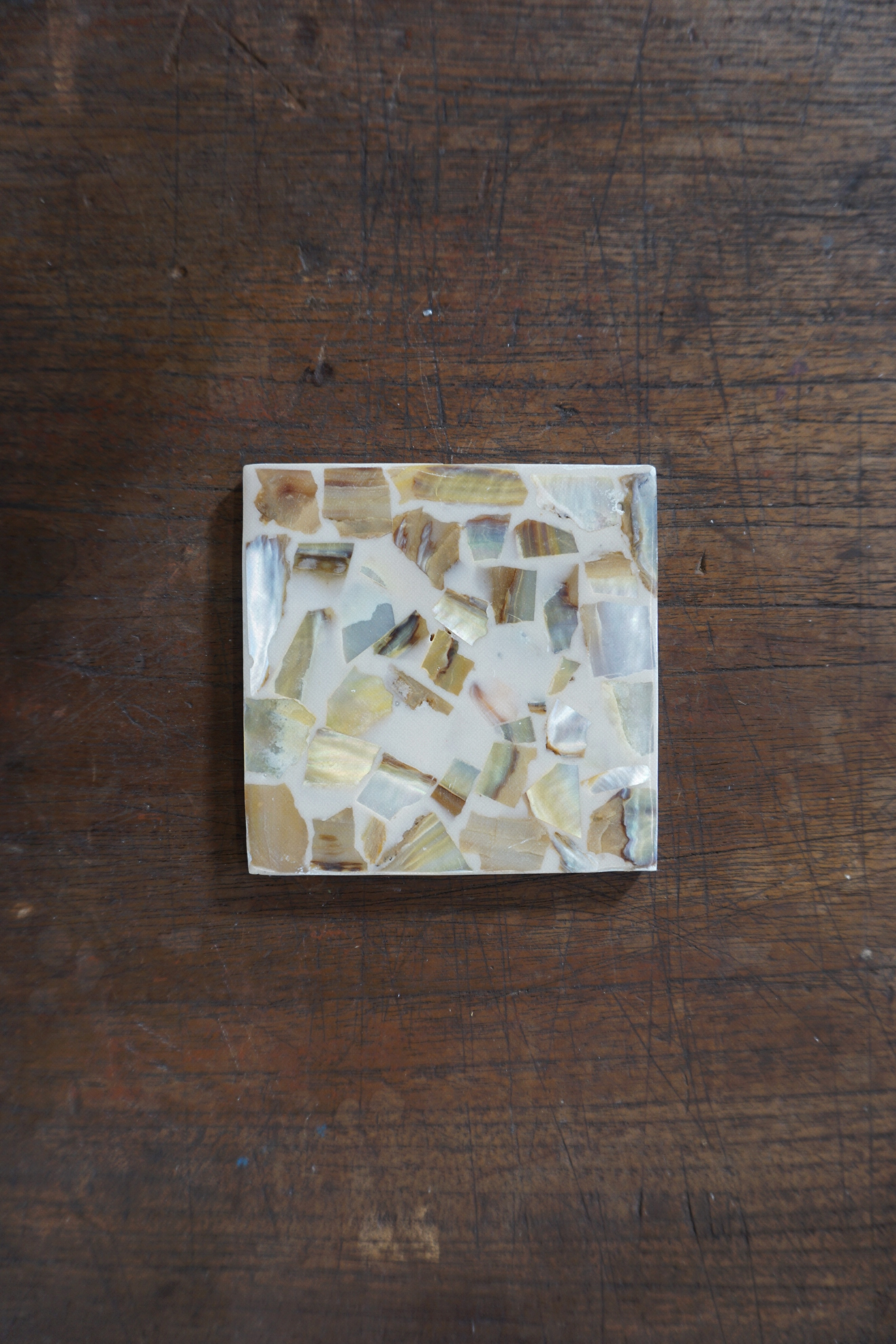 PREMIUM SHELL COASTER & CANDLE HOLDER