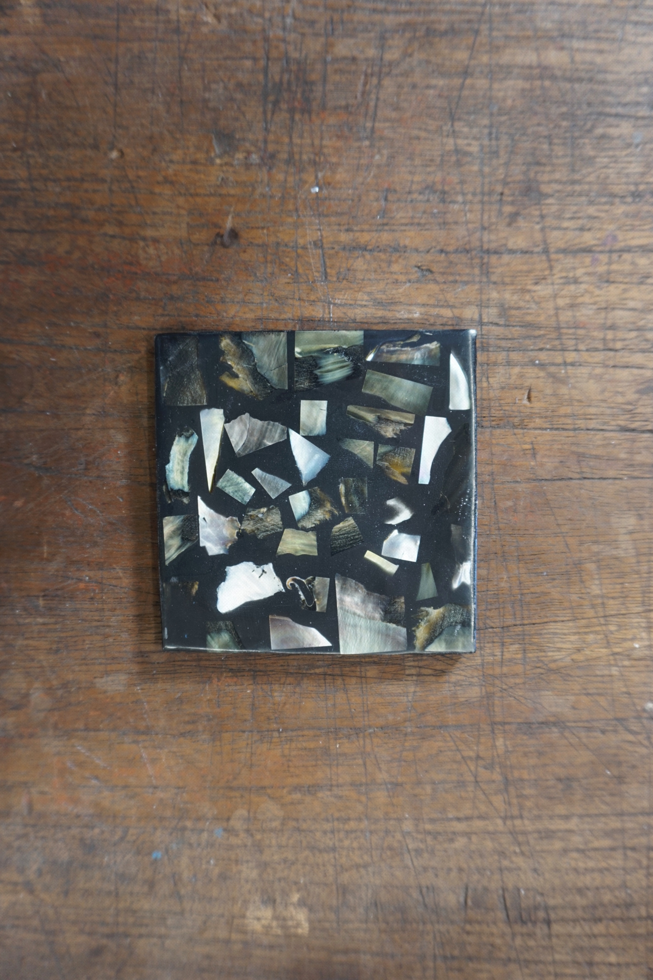 PREMIUM SHELL COASTER & CANDLE HOLDER