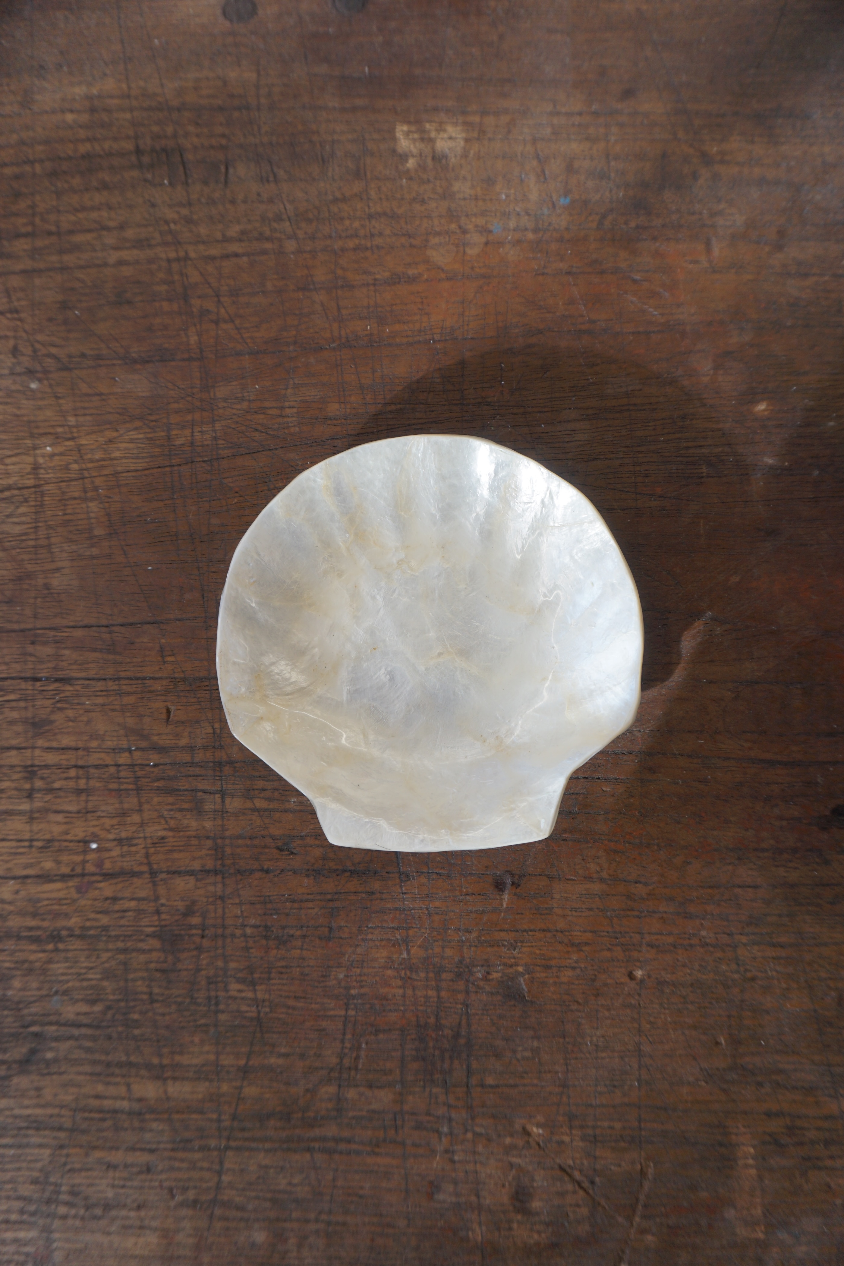 SHELL TRAY-NO.67