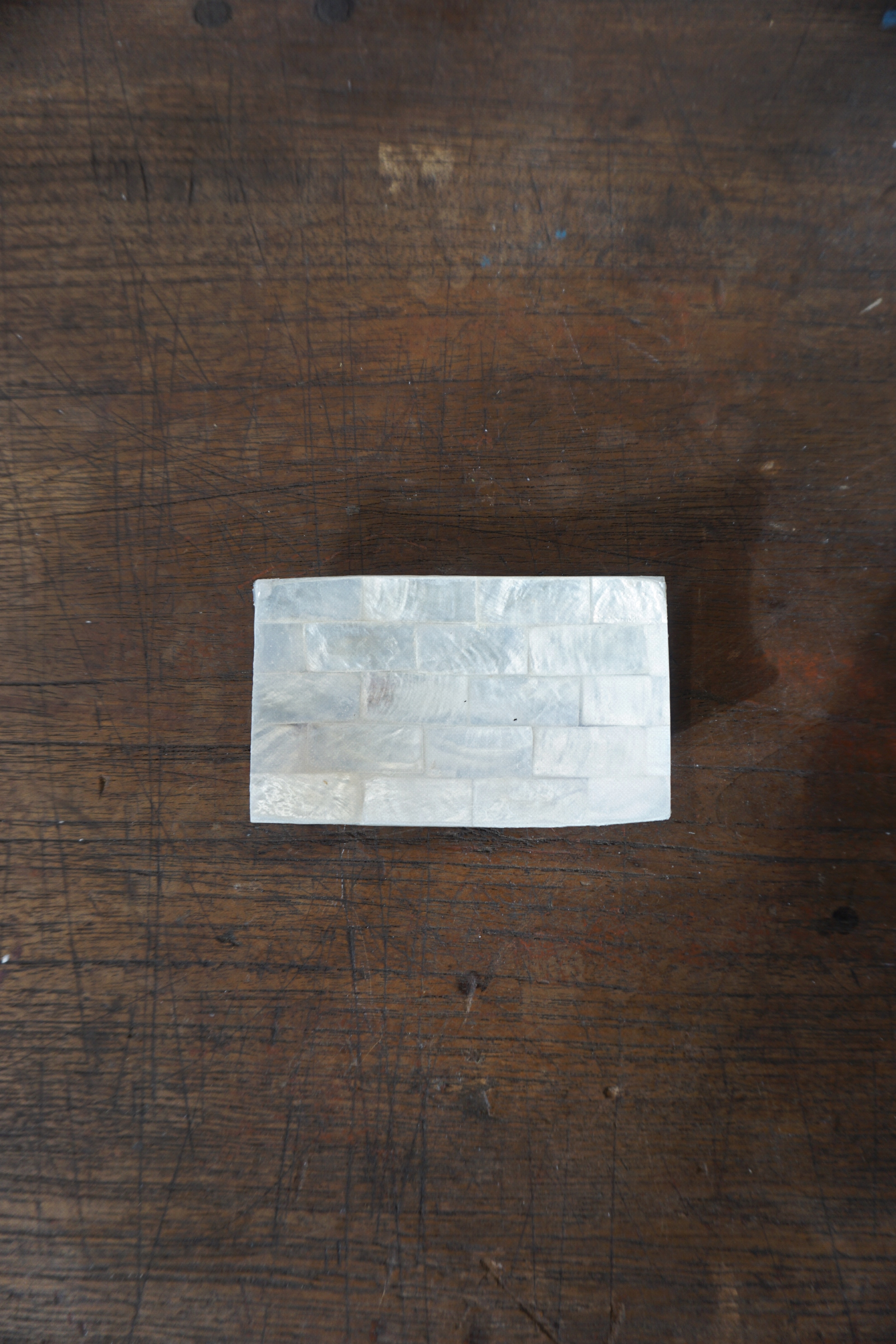 SHELL COIN TRAY