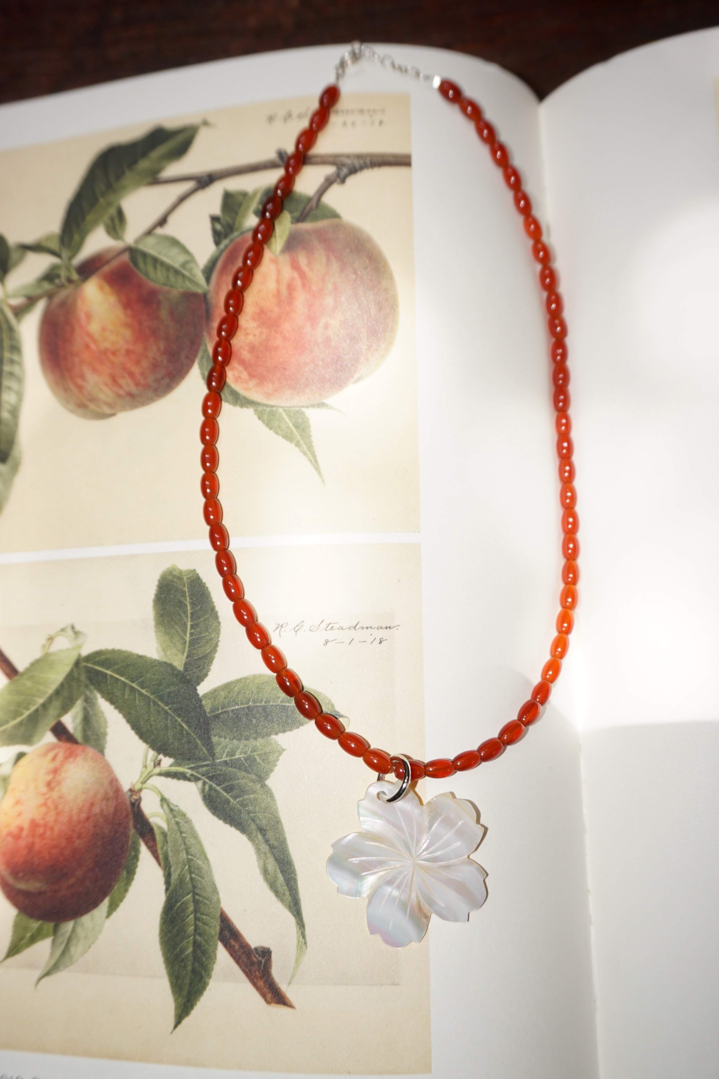 Shell Omakase Necklace (One & Only)