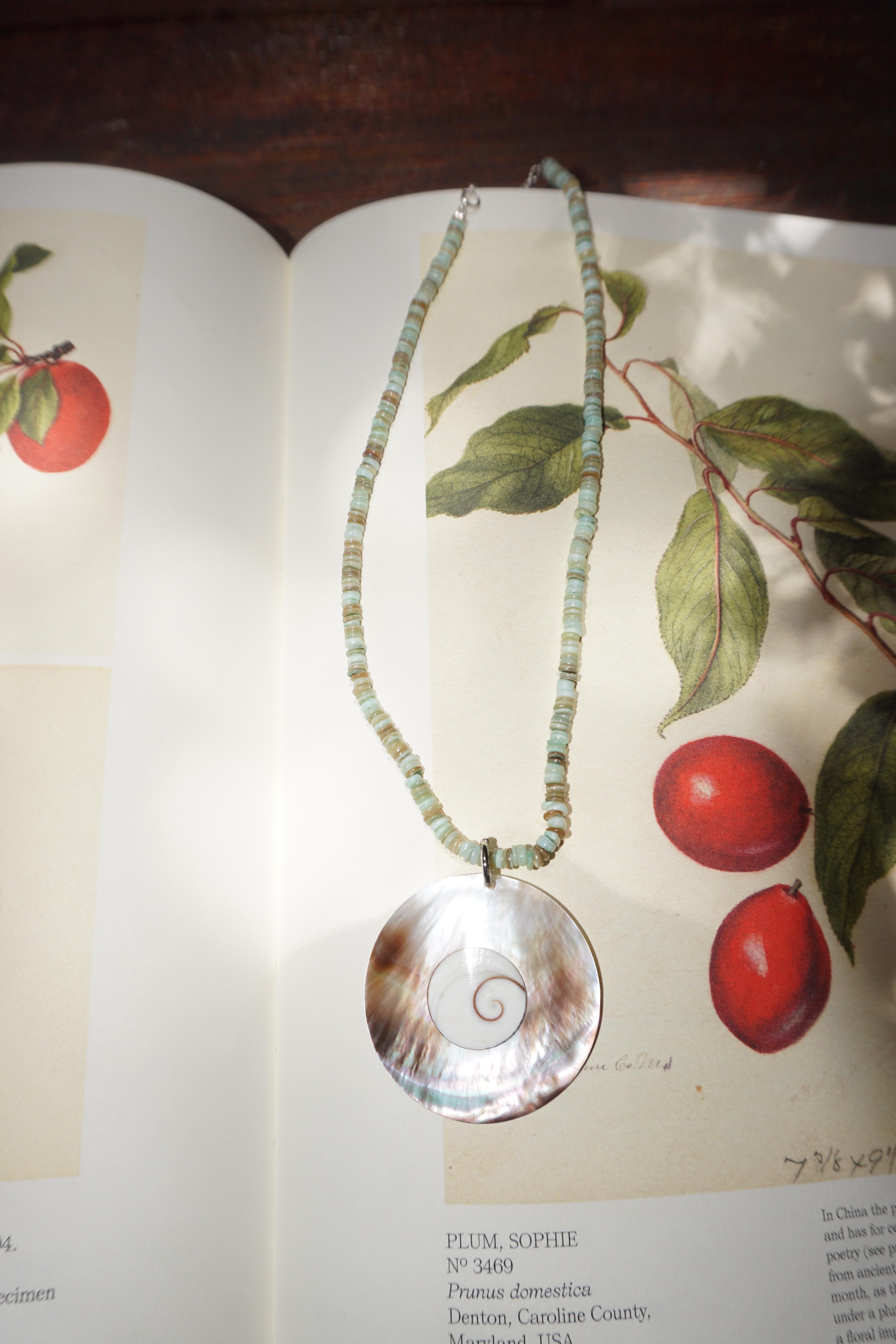 Shell Omakase Necklace (One & Only)