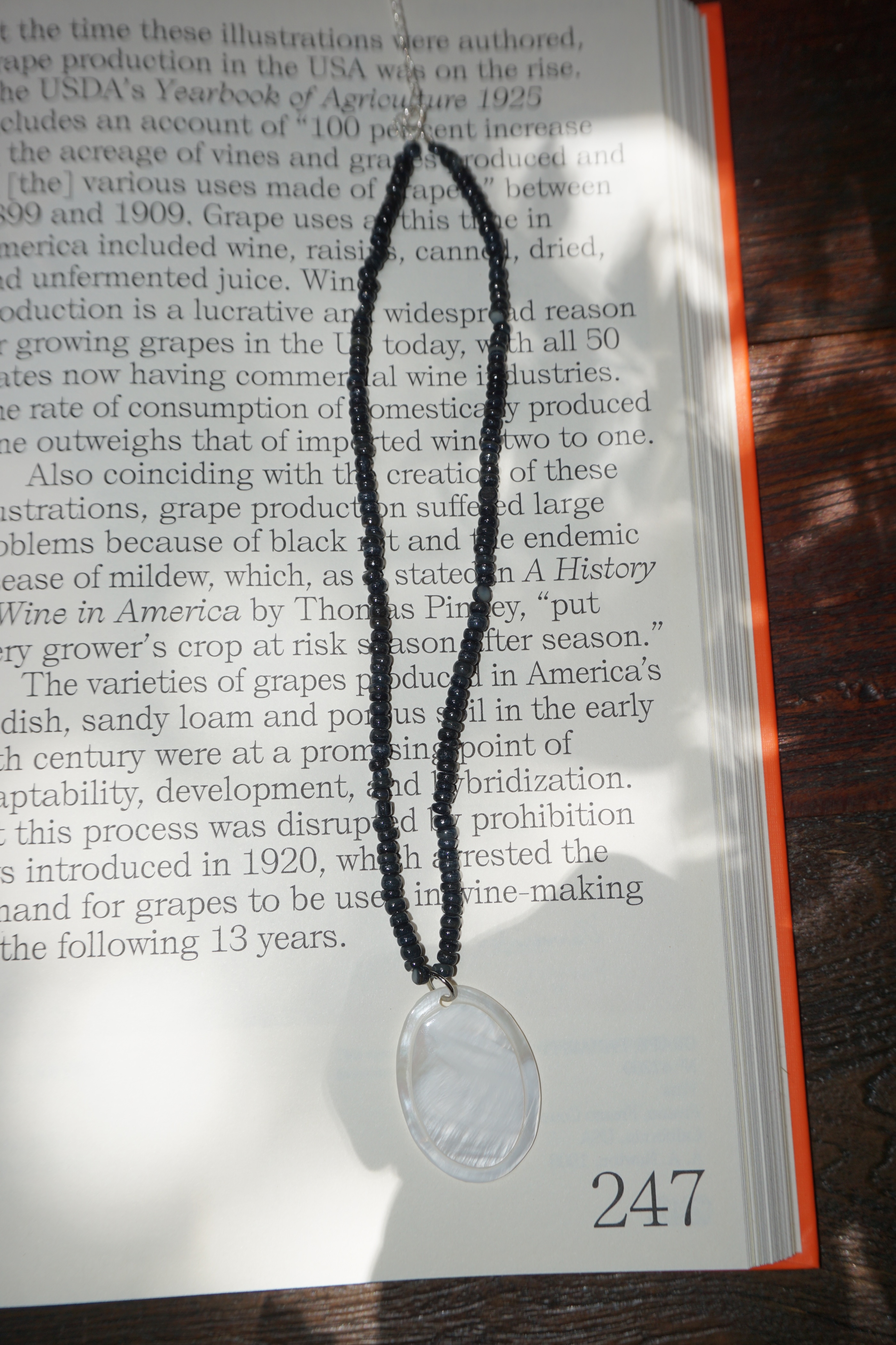 Shell Omakase Necklace (One & Only)