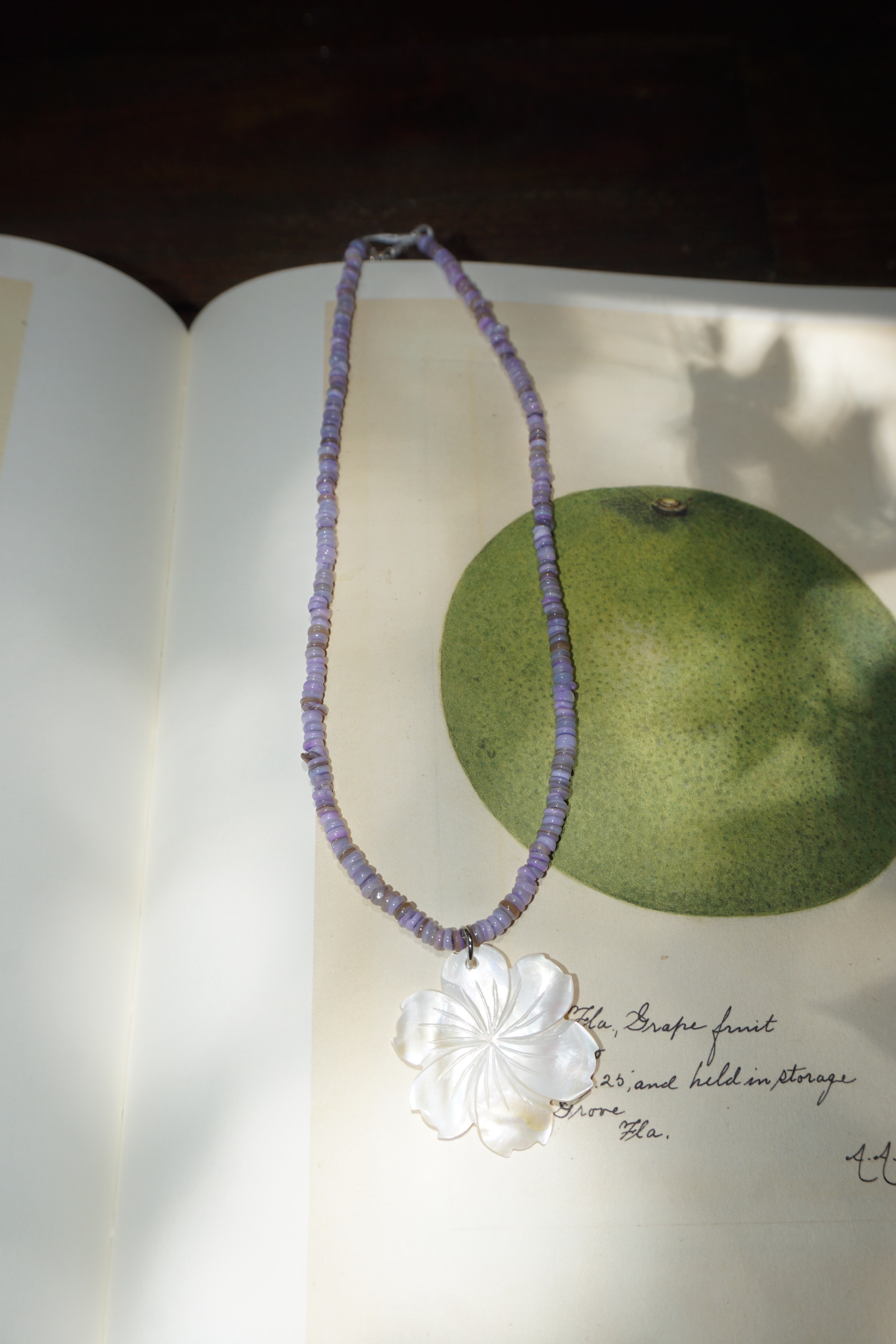 Shell Omakase Necklace (One & Only)