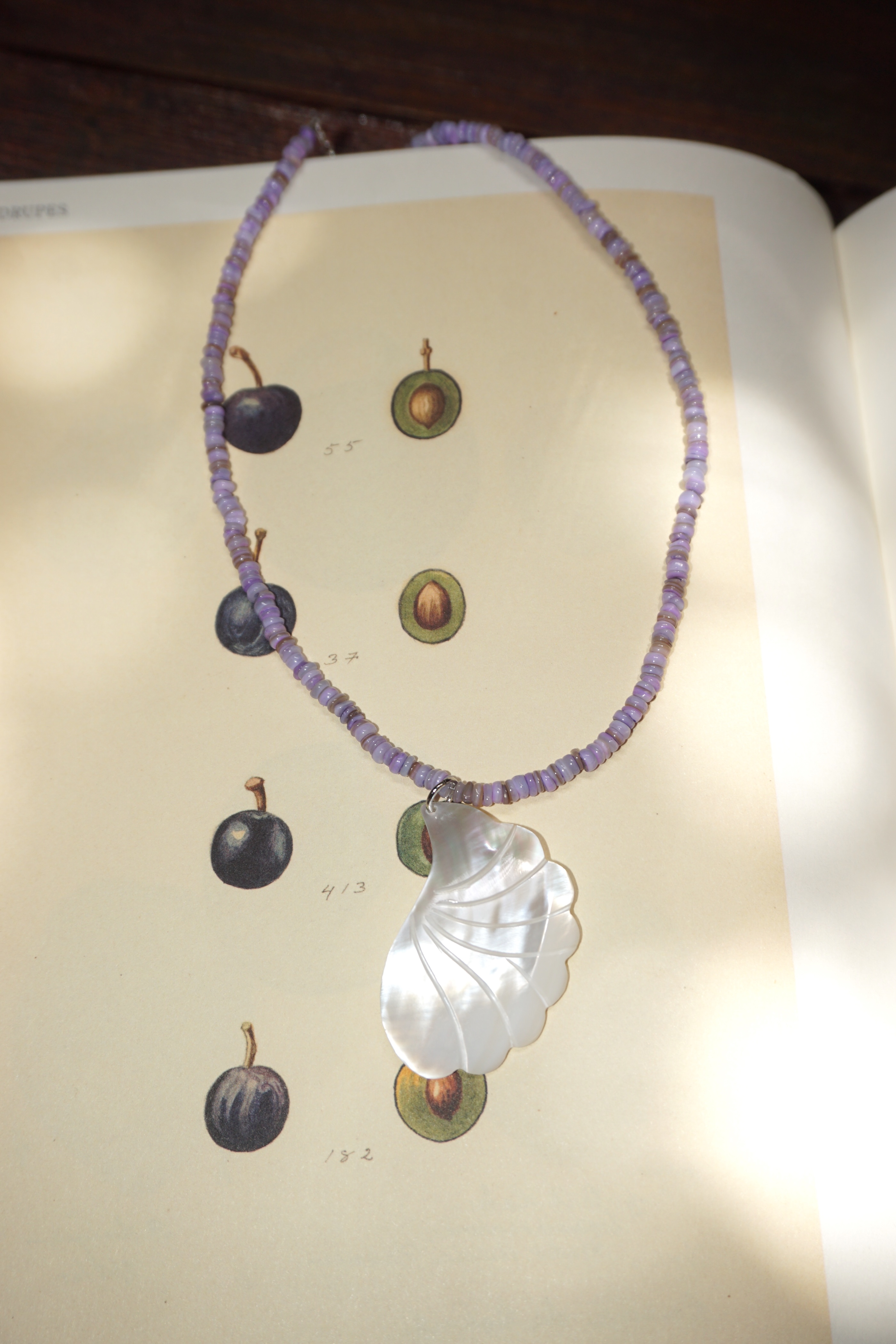Shell Omakase Necklace (One & Only)