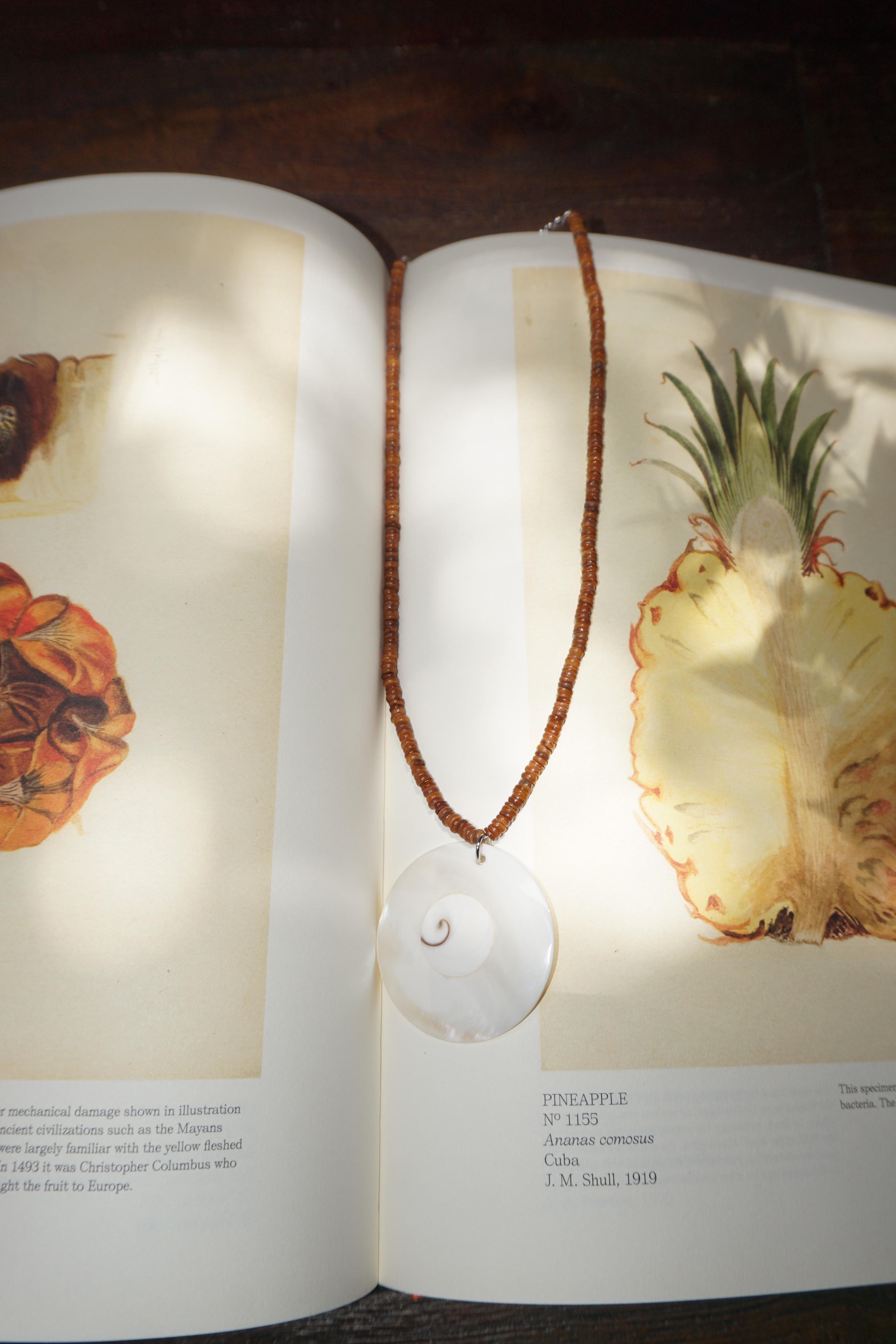 Shell Omakase Necklace (One & Only)