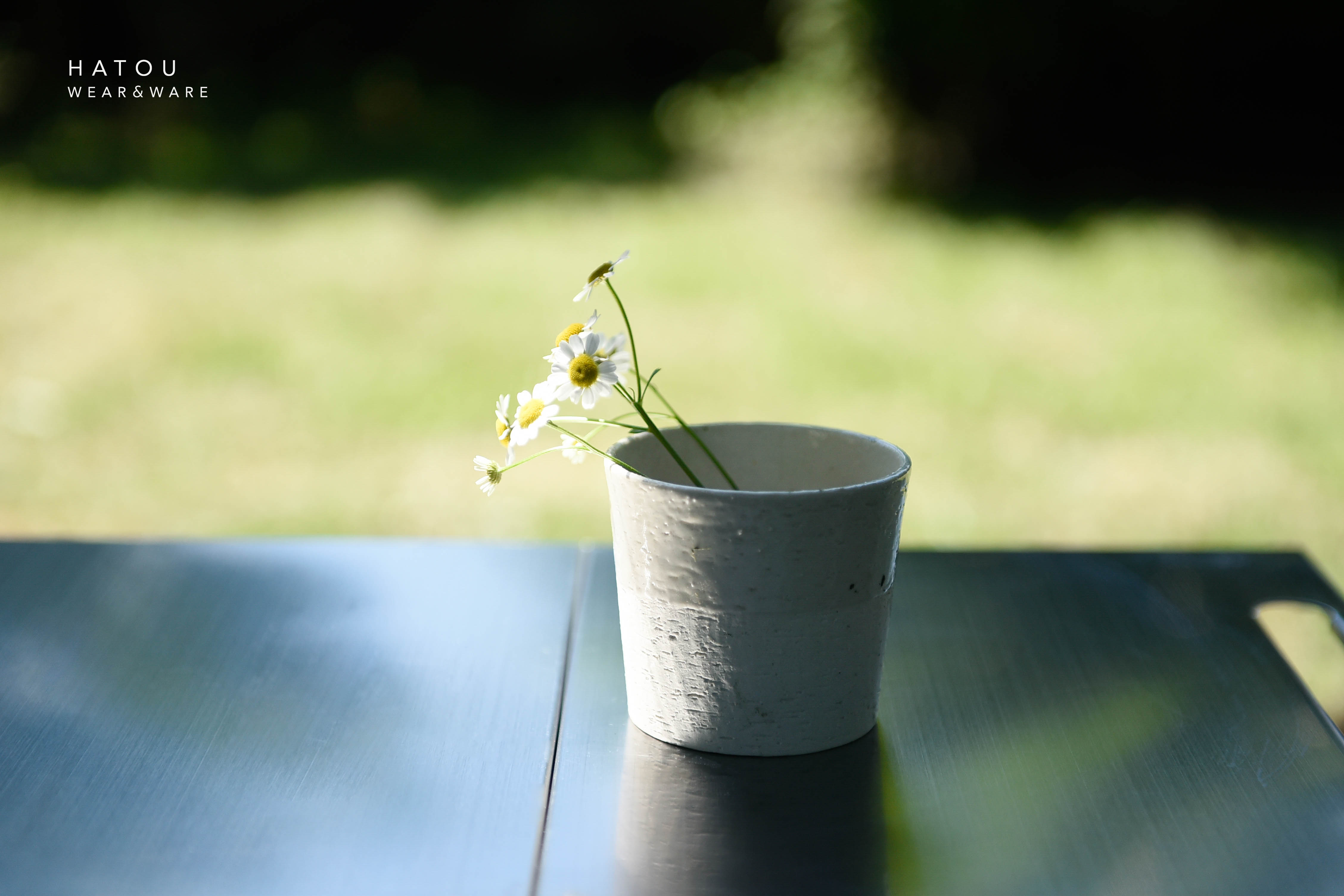 HATOU SOIL CUP