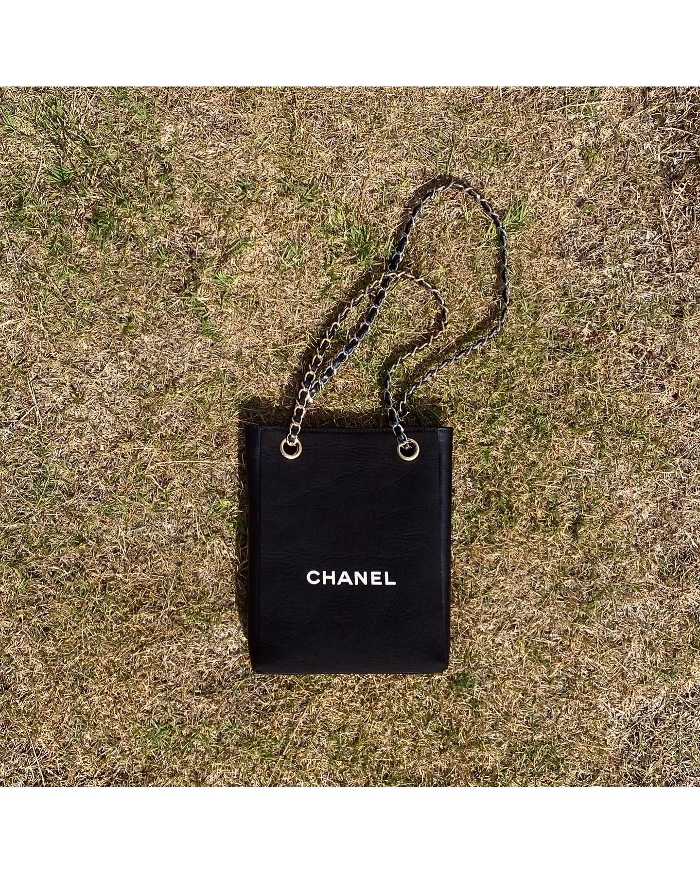 CHANEL dust X leather Initial bag no.22