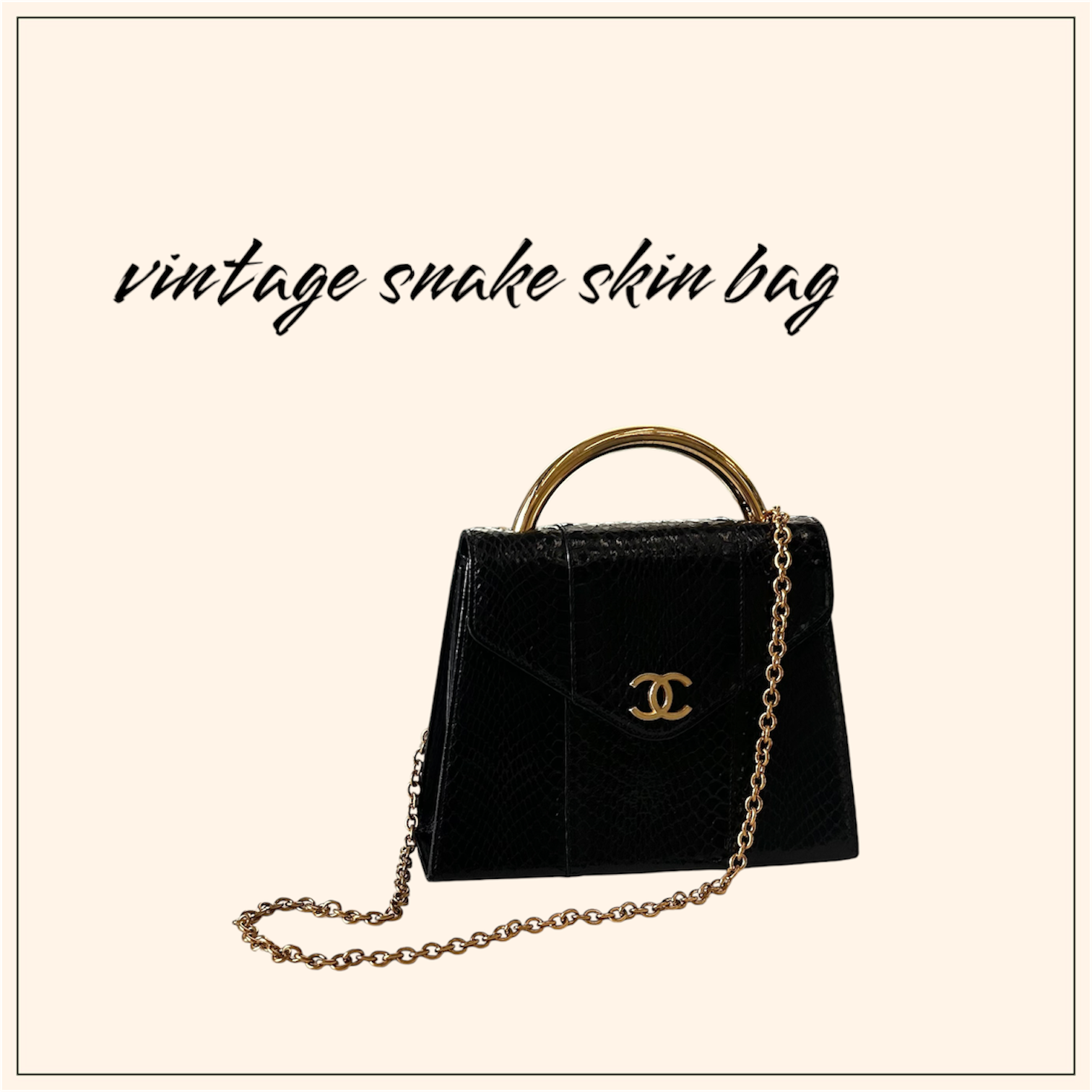 GENUINE vintage snake skin bag X CHANEL hanger CC objet no.44