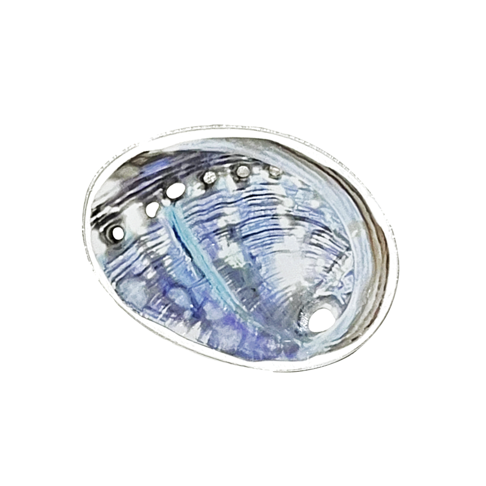Opal Shell Tok