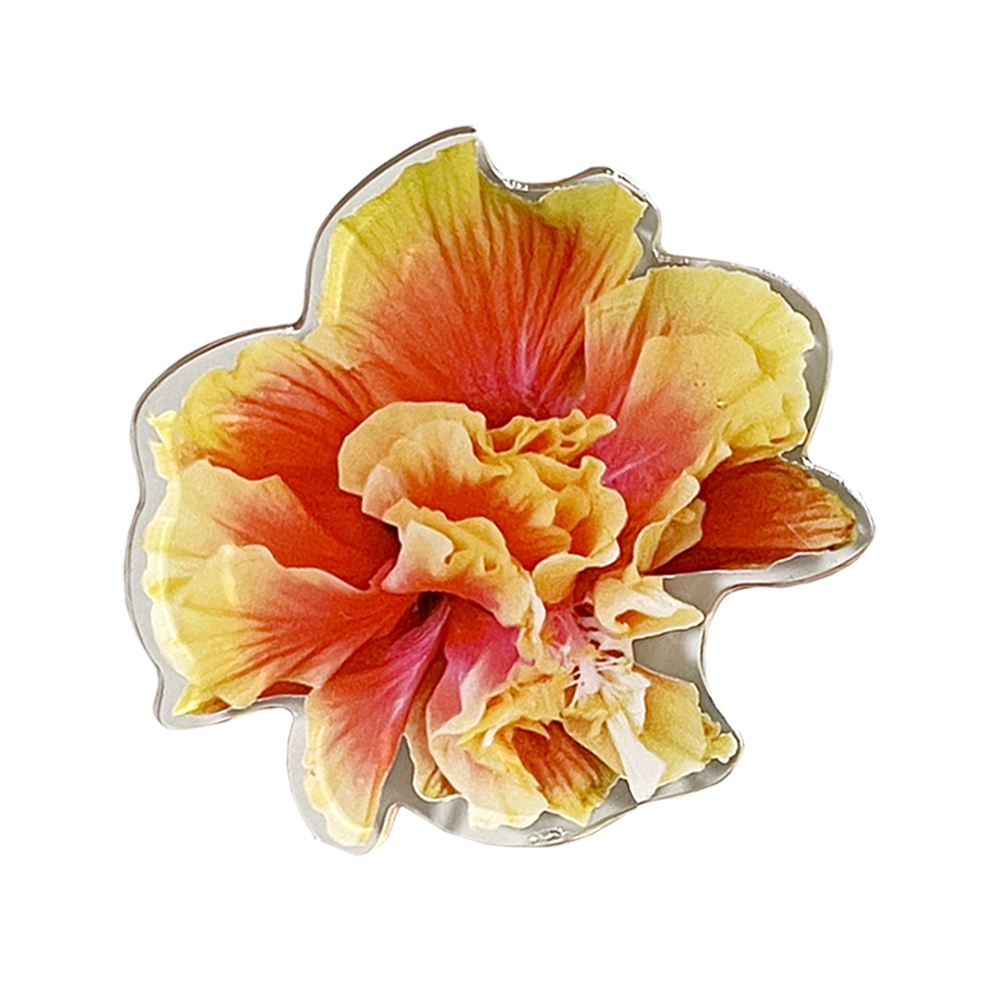 Tropical Hibiscus Tok